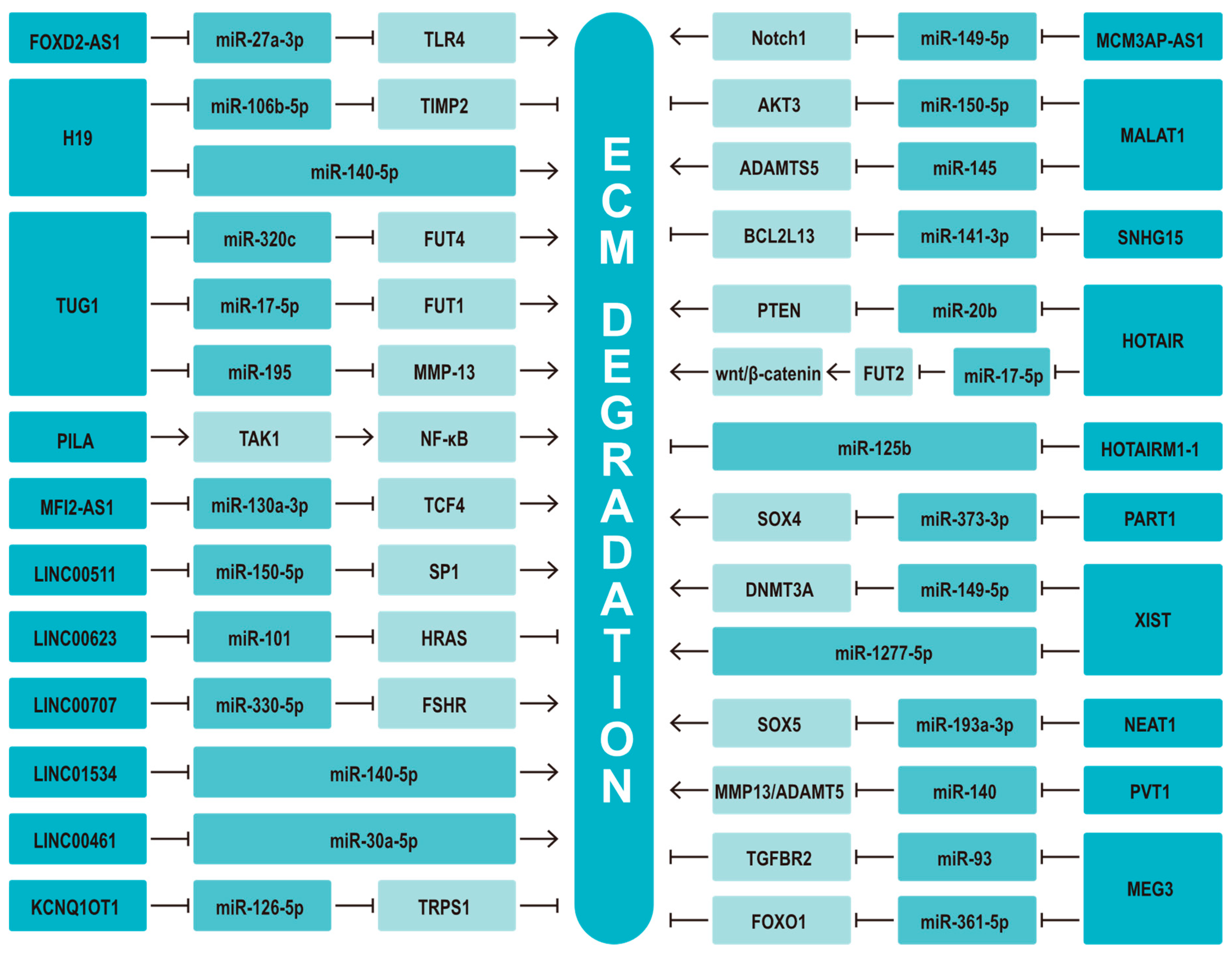 Biomolecules 13 00580 g006