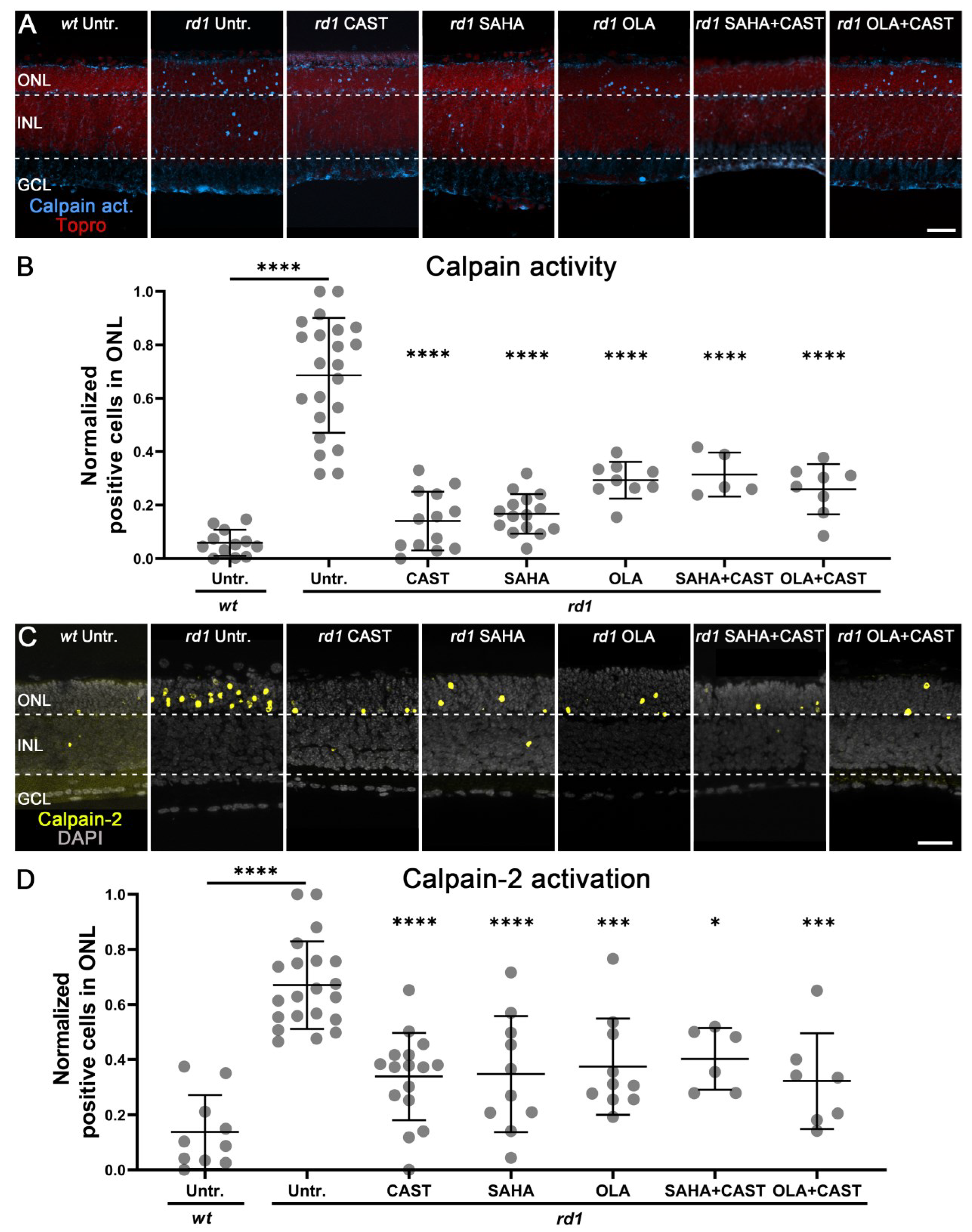 Biomolecules 13 00581 g002