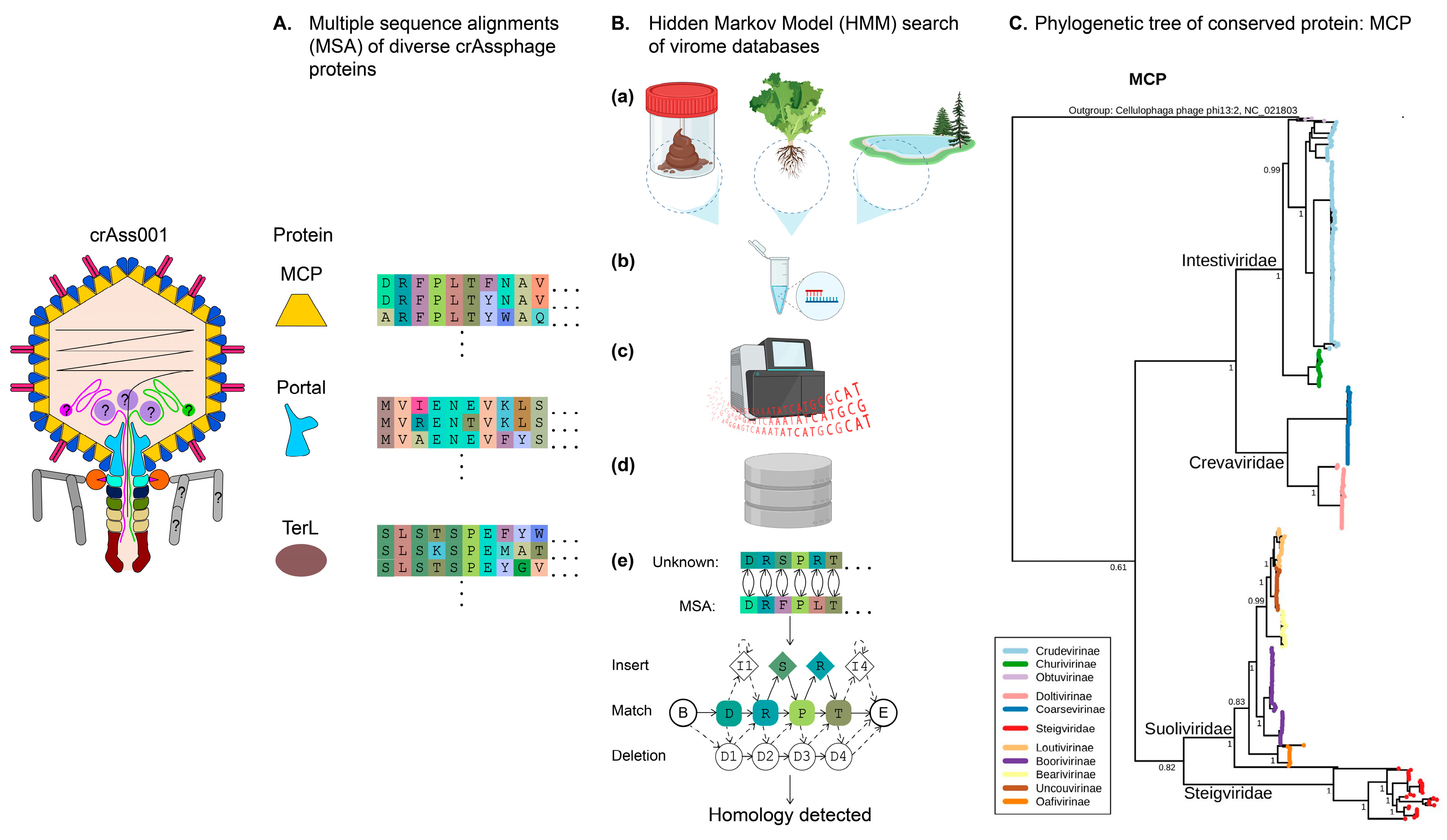 Biomolecules 13 00584 g001 Biomolecules 13 00584 g001