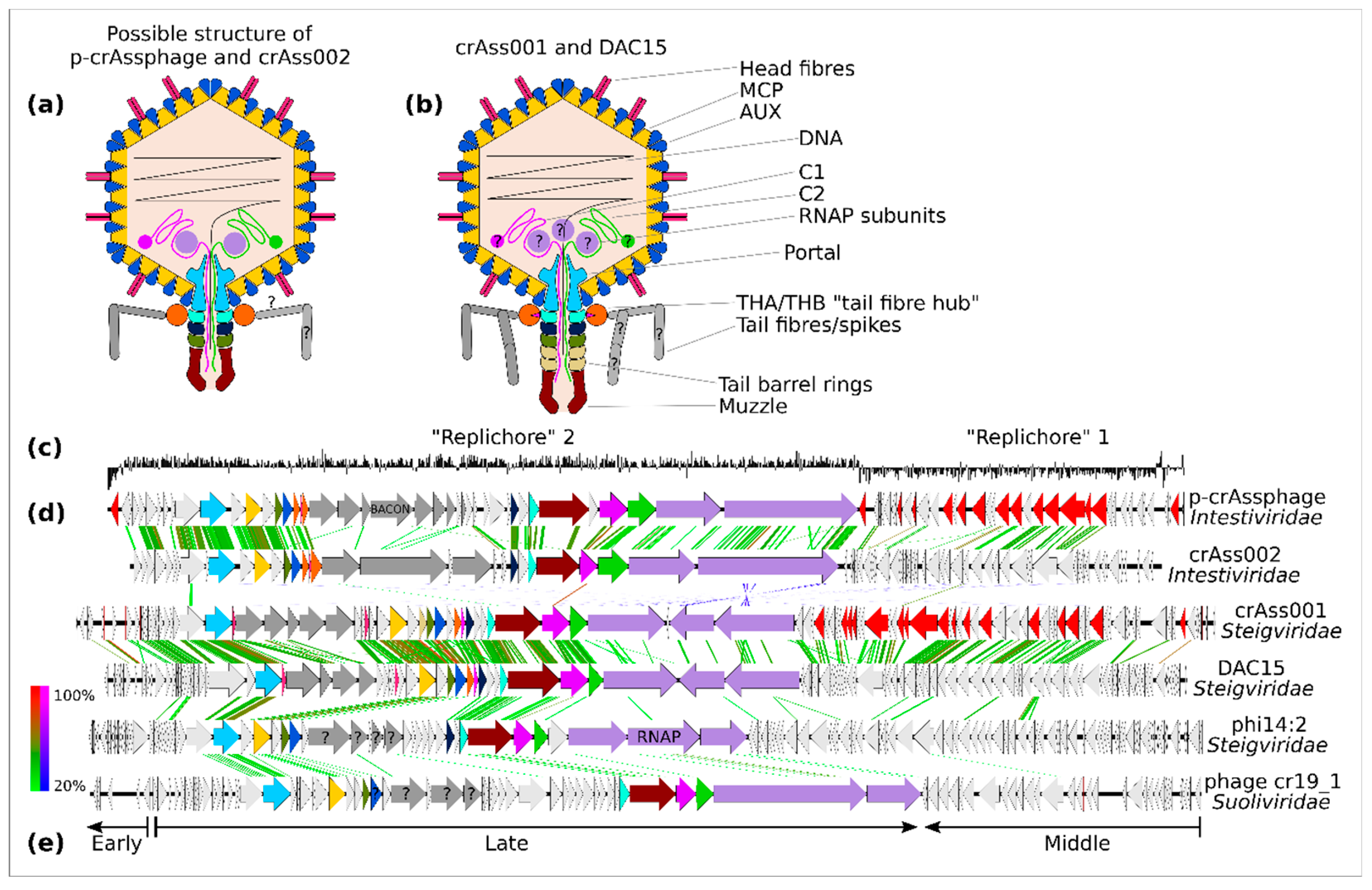 Biomolecules 13 00584 g002 Biomolecules 13 00584 g002