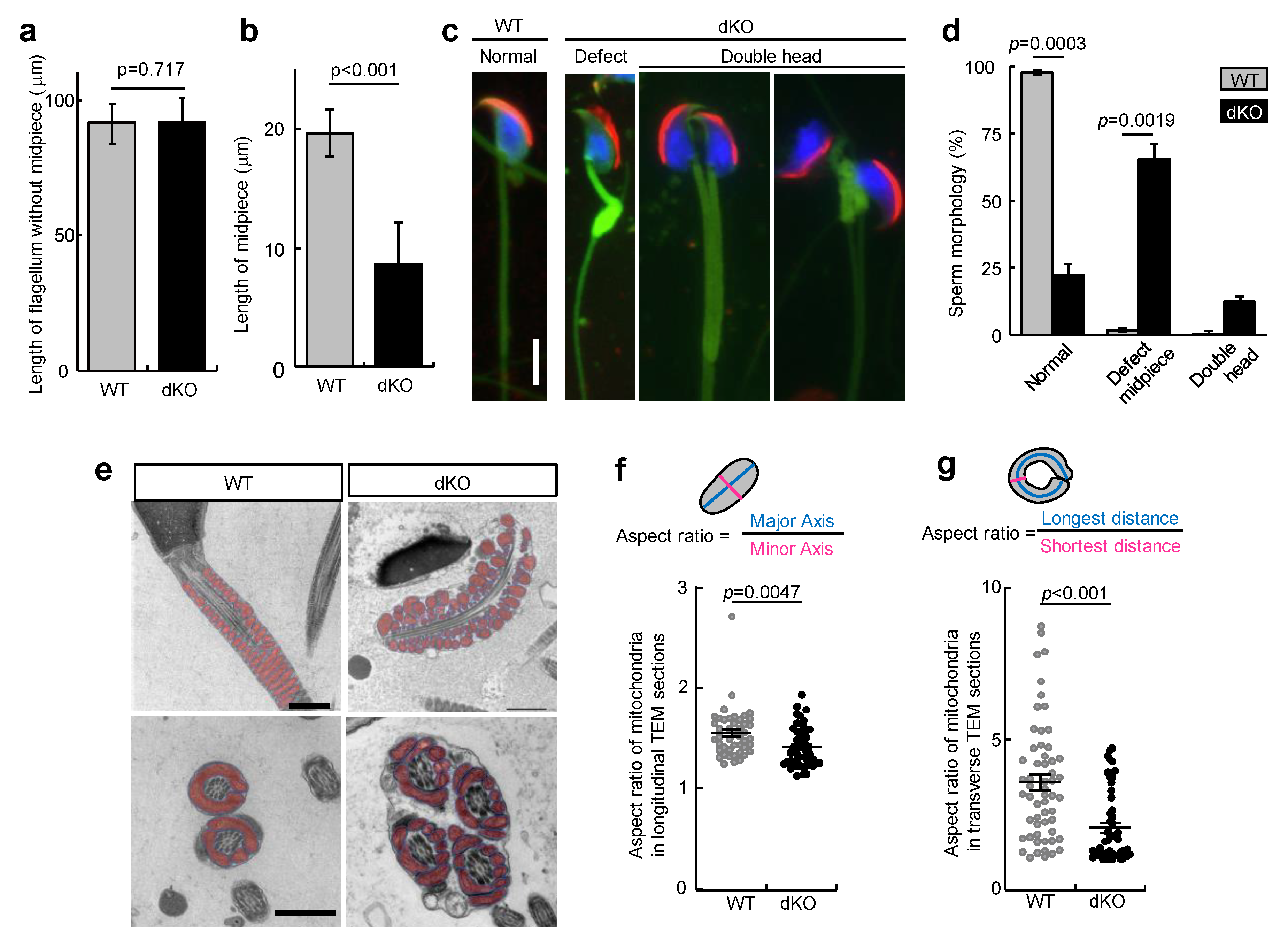 Biomolecules 13 00586 g004 Biomolecules 13 00586 g004