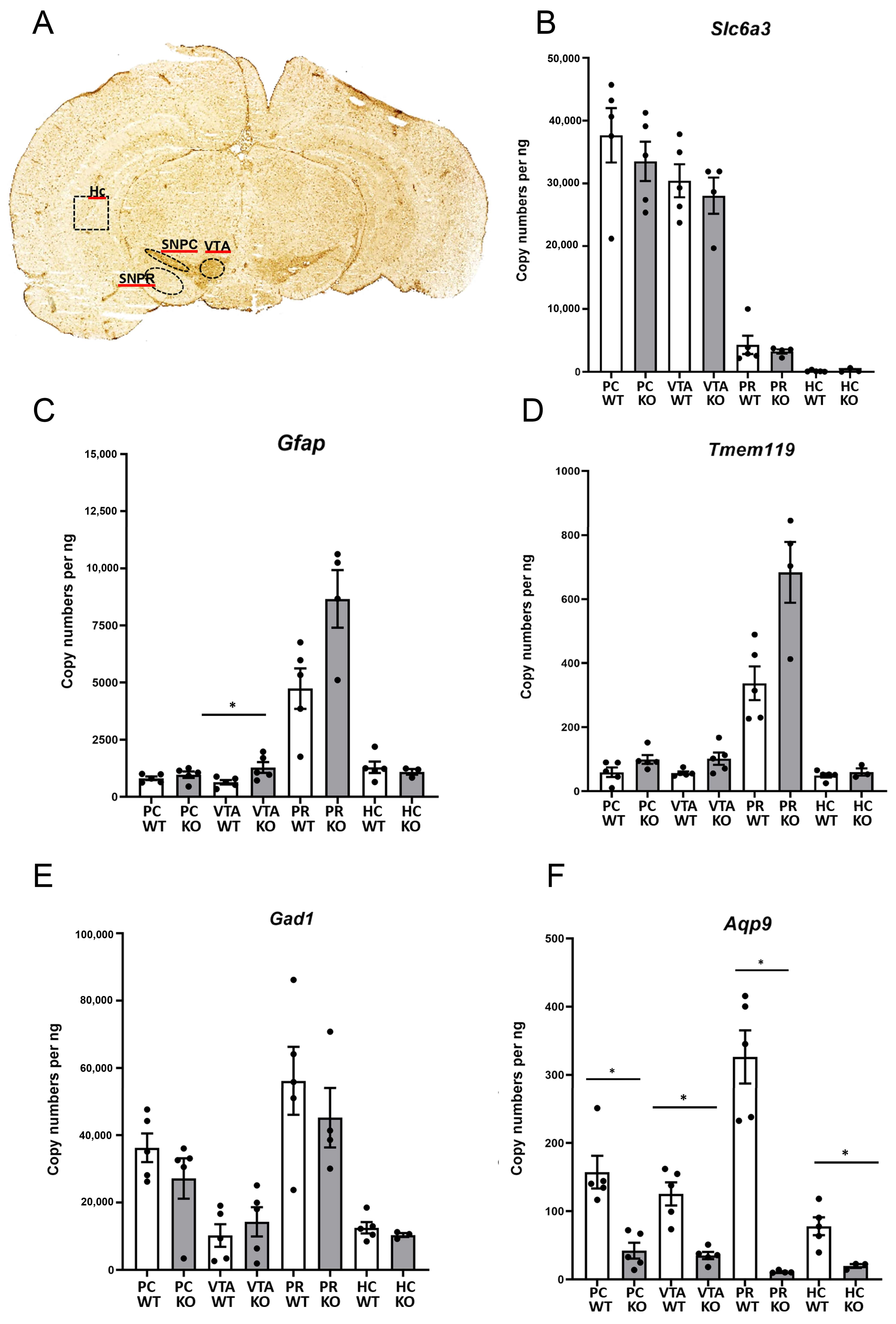 Biomolecules 13 00588 g004 Biomolecules 13 00588 g004