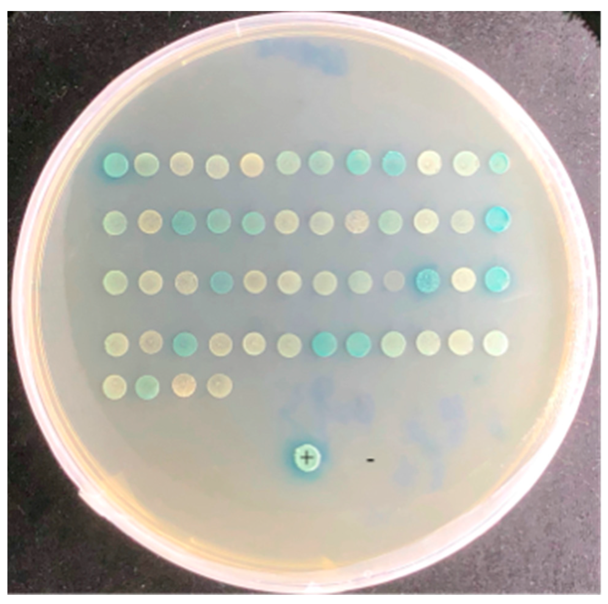 Biomolecules 13 00590 g001 Biomolecules 13 00590 g001