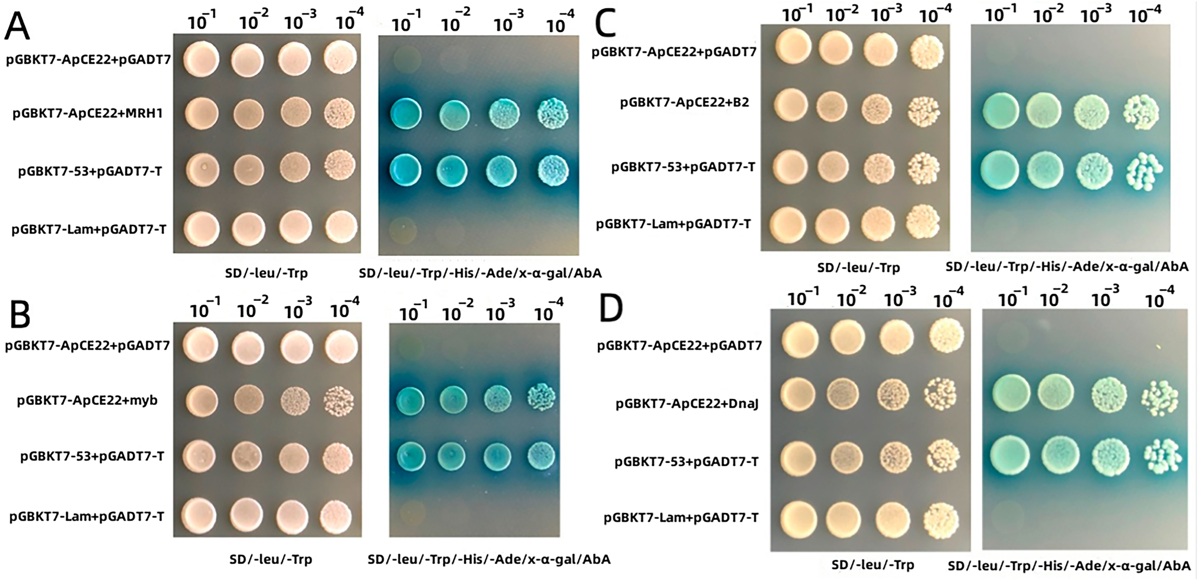 Biomolecules 13 00590 g002 Biomolecules 13 00590 g002