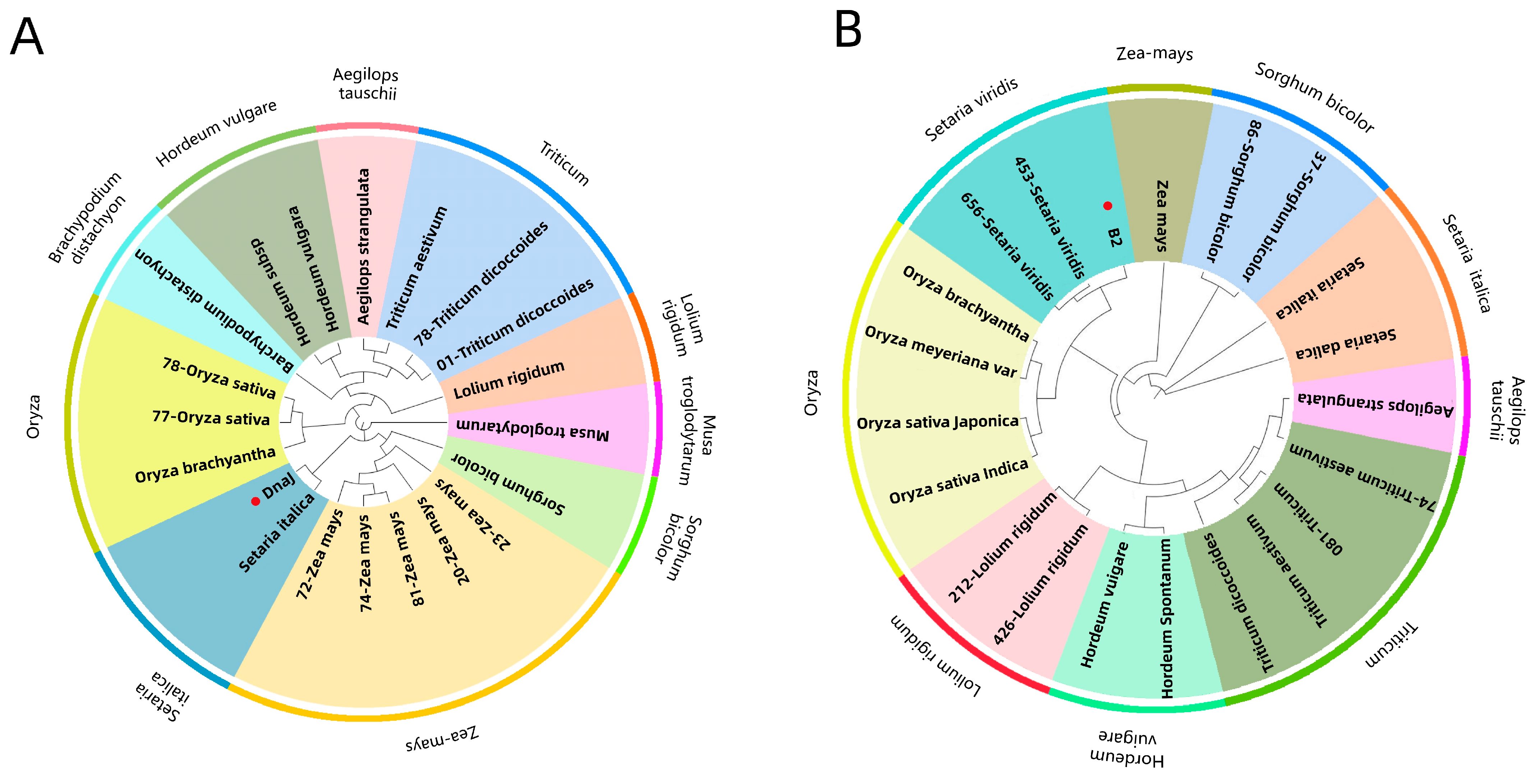 Biomolecules 13 00590 g006 Biomolecules 13 00590 g006