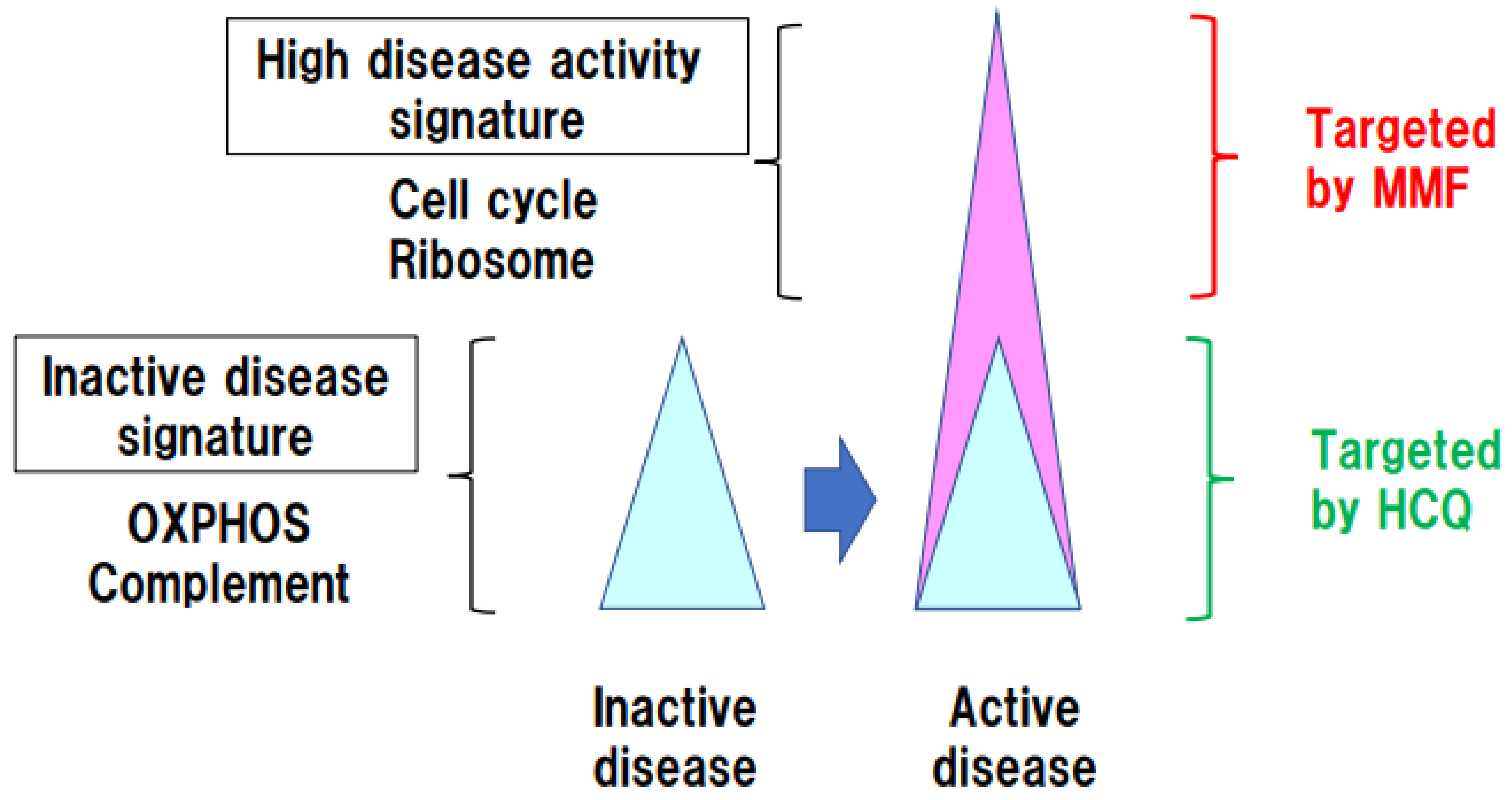 Biomolecules 13 00591 g002