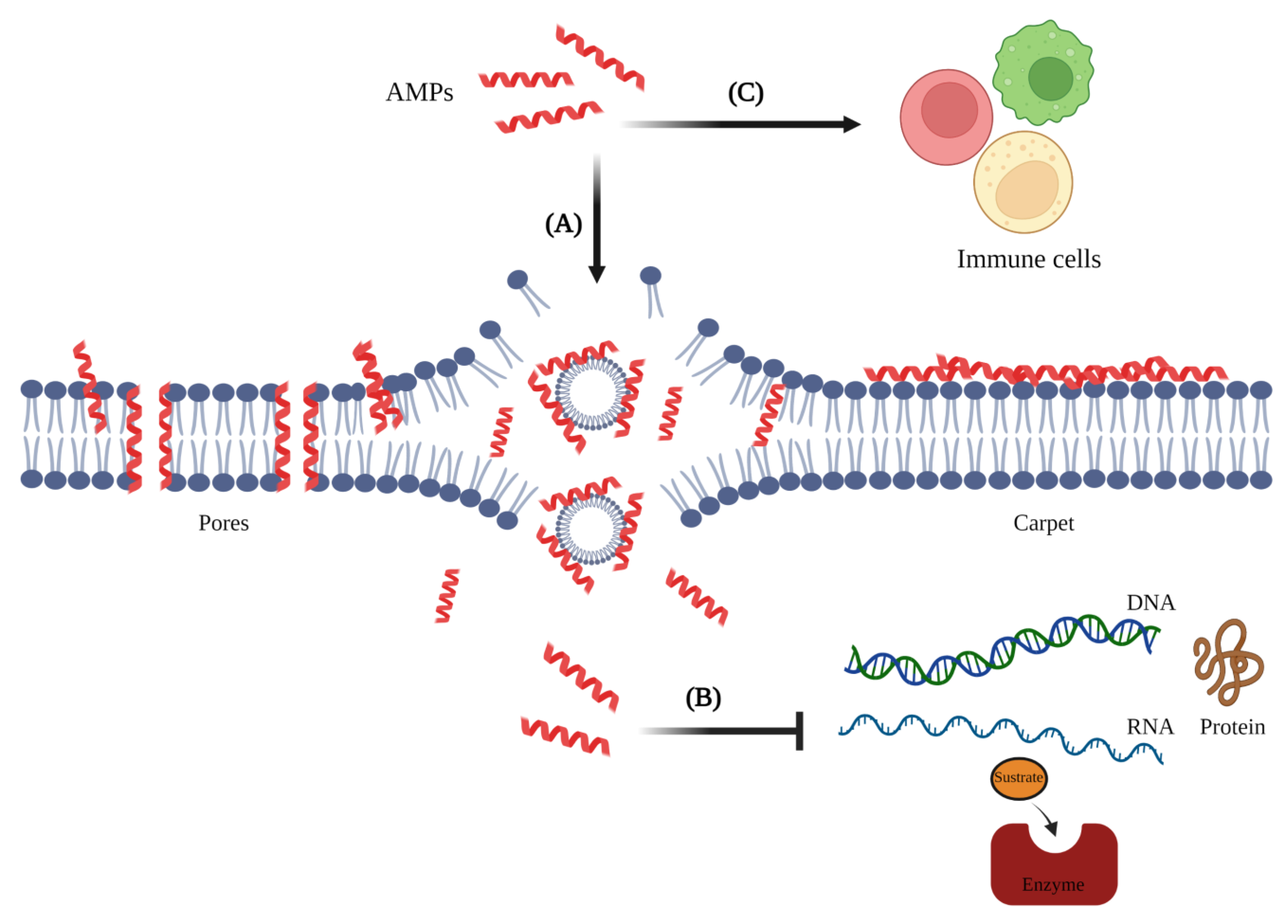 Biomolecules 13 00599 g002 Biomolecules 13 00599 g002