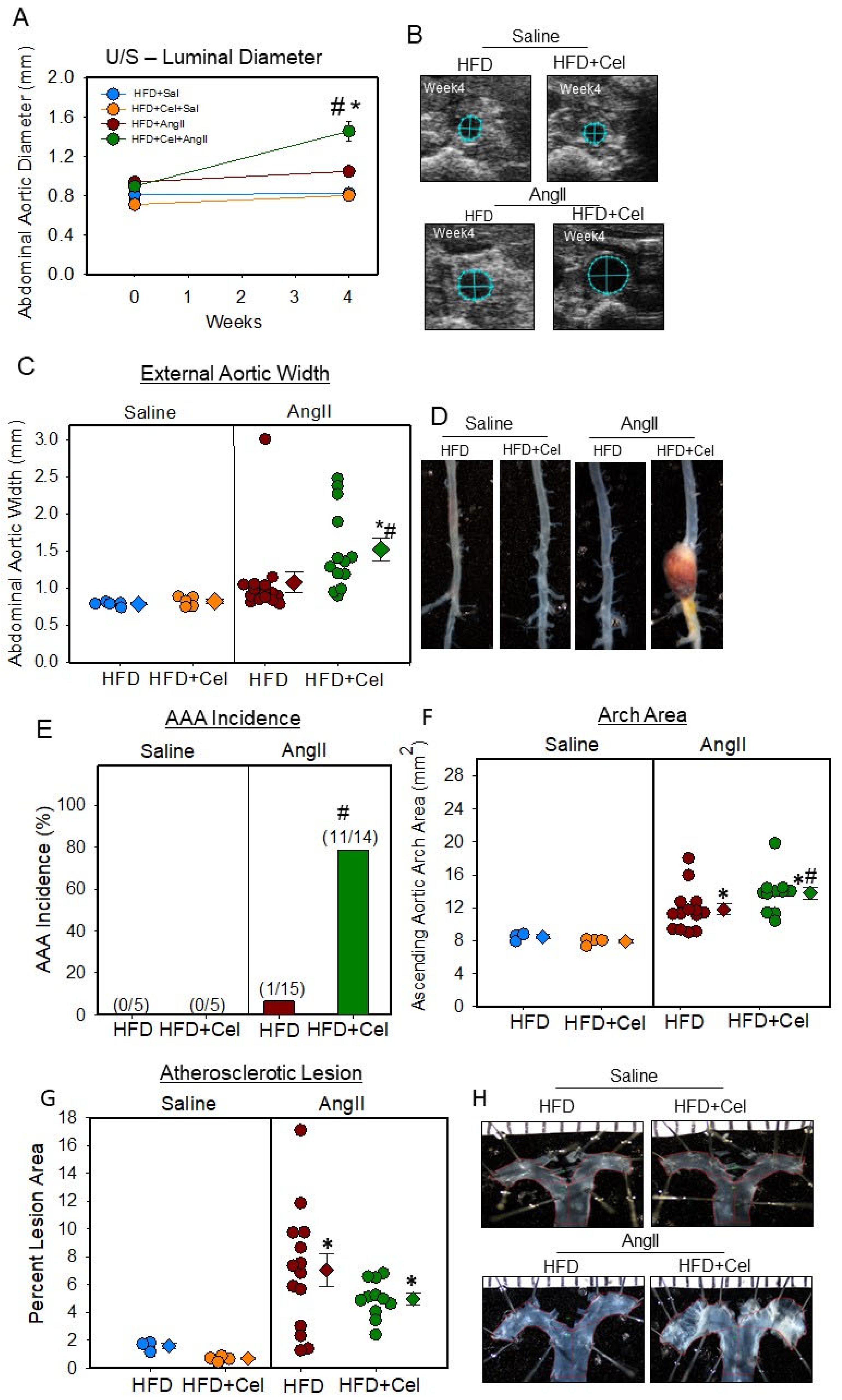 Biomolecules 13 00603 g003