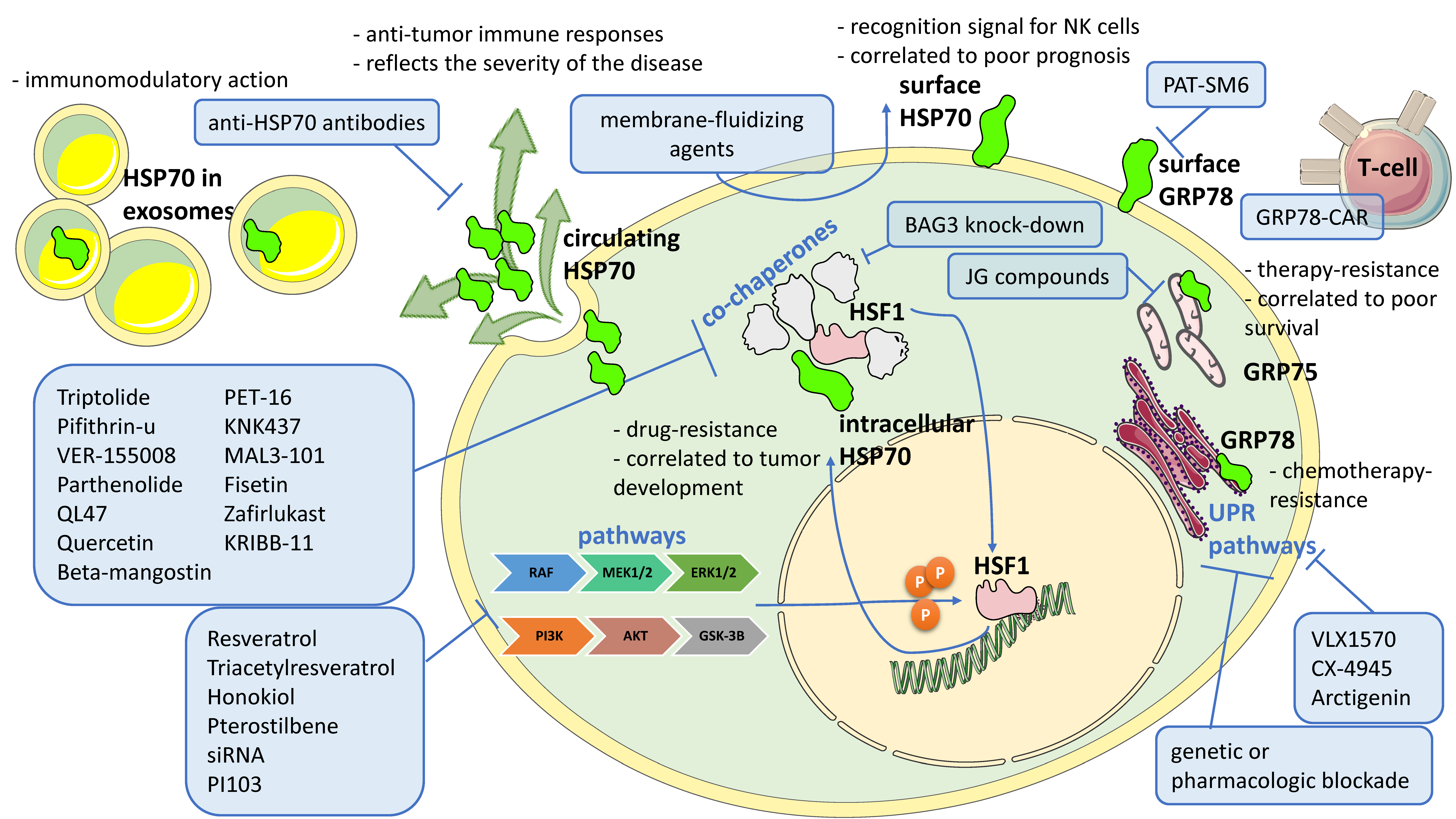Biomolecules 13 00604 g003 Biomolecules 13 00604 g003