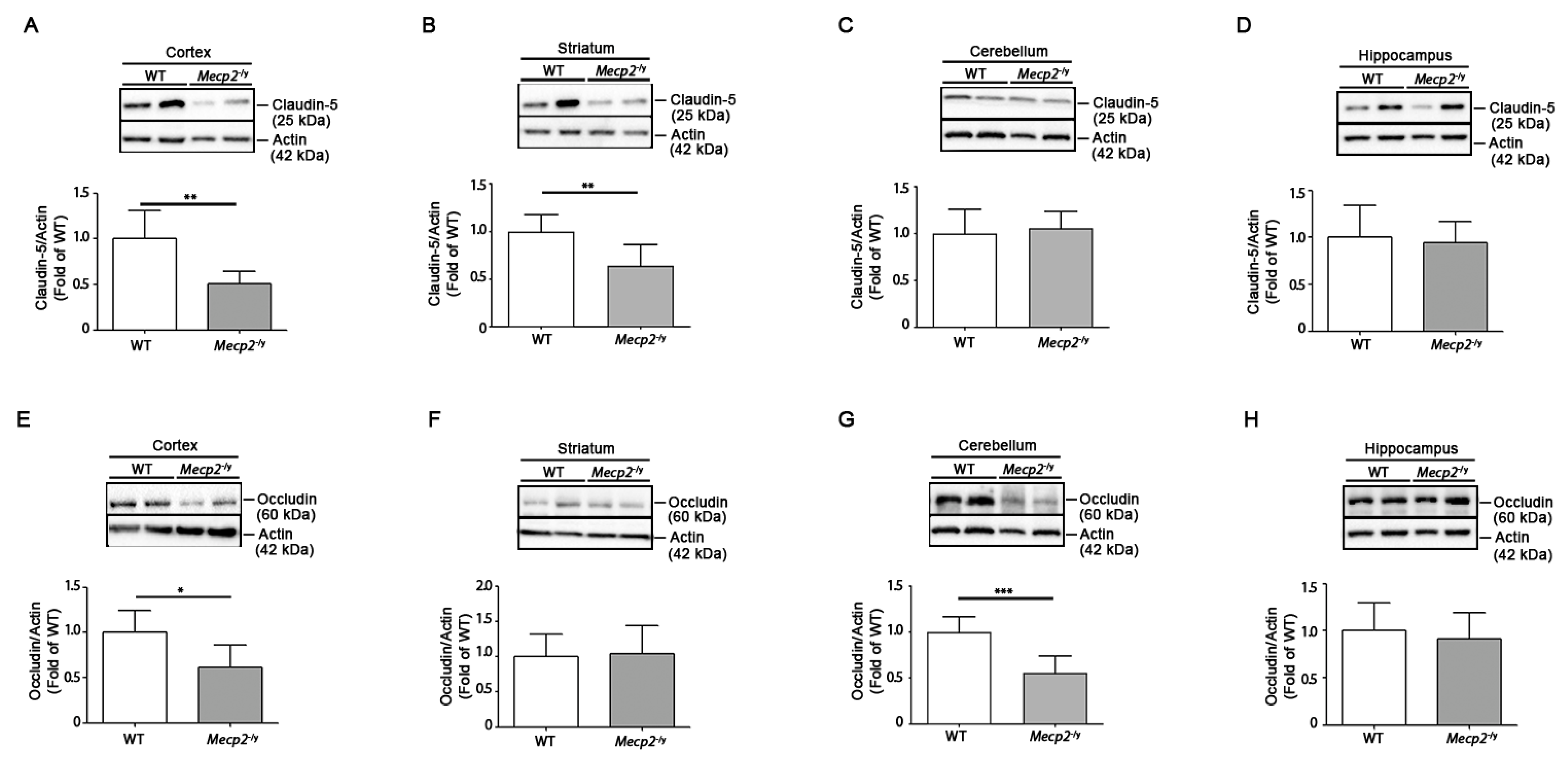 Biomolecules 13 00606 g002