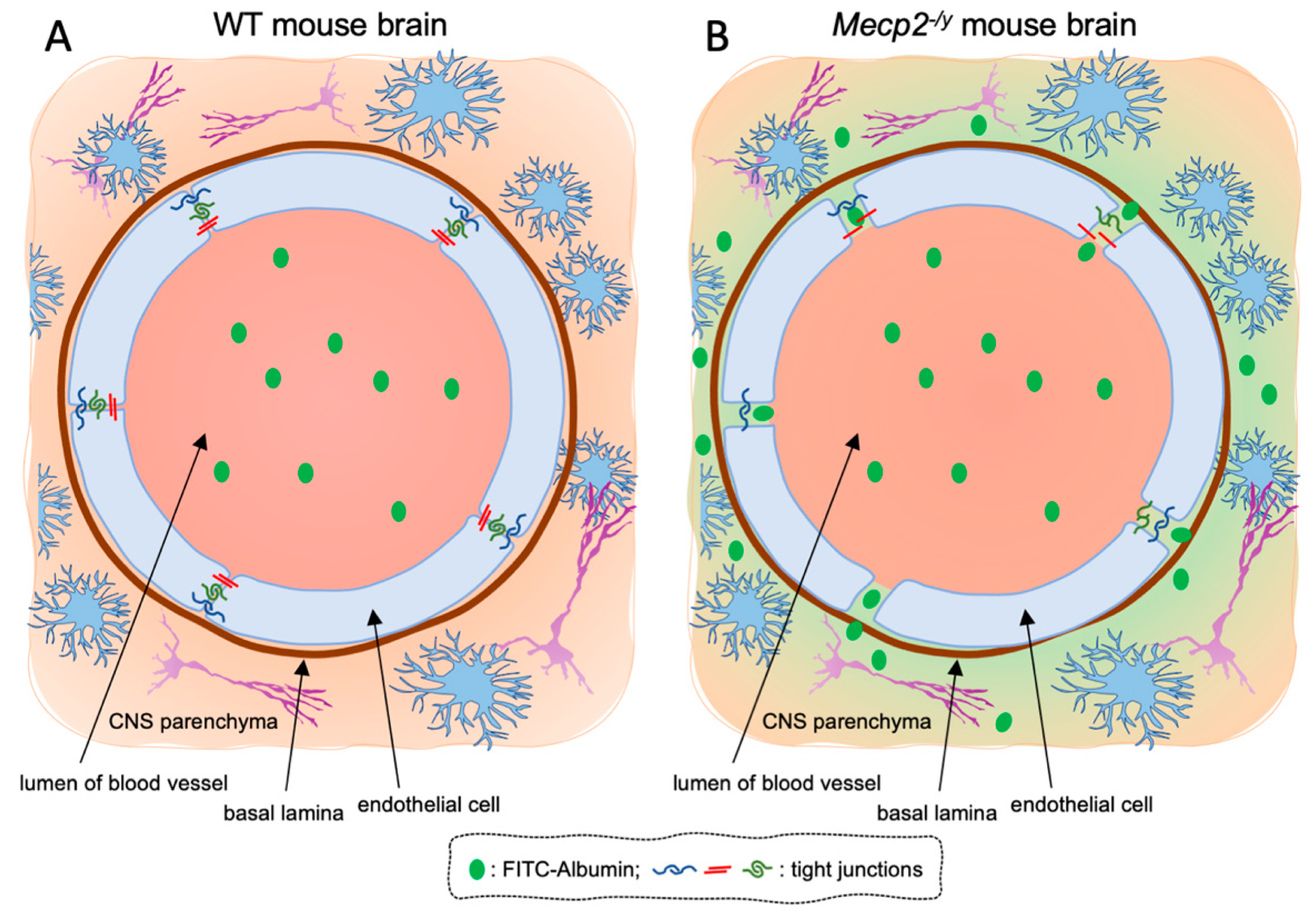 Biomolecules 13 00606 g006