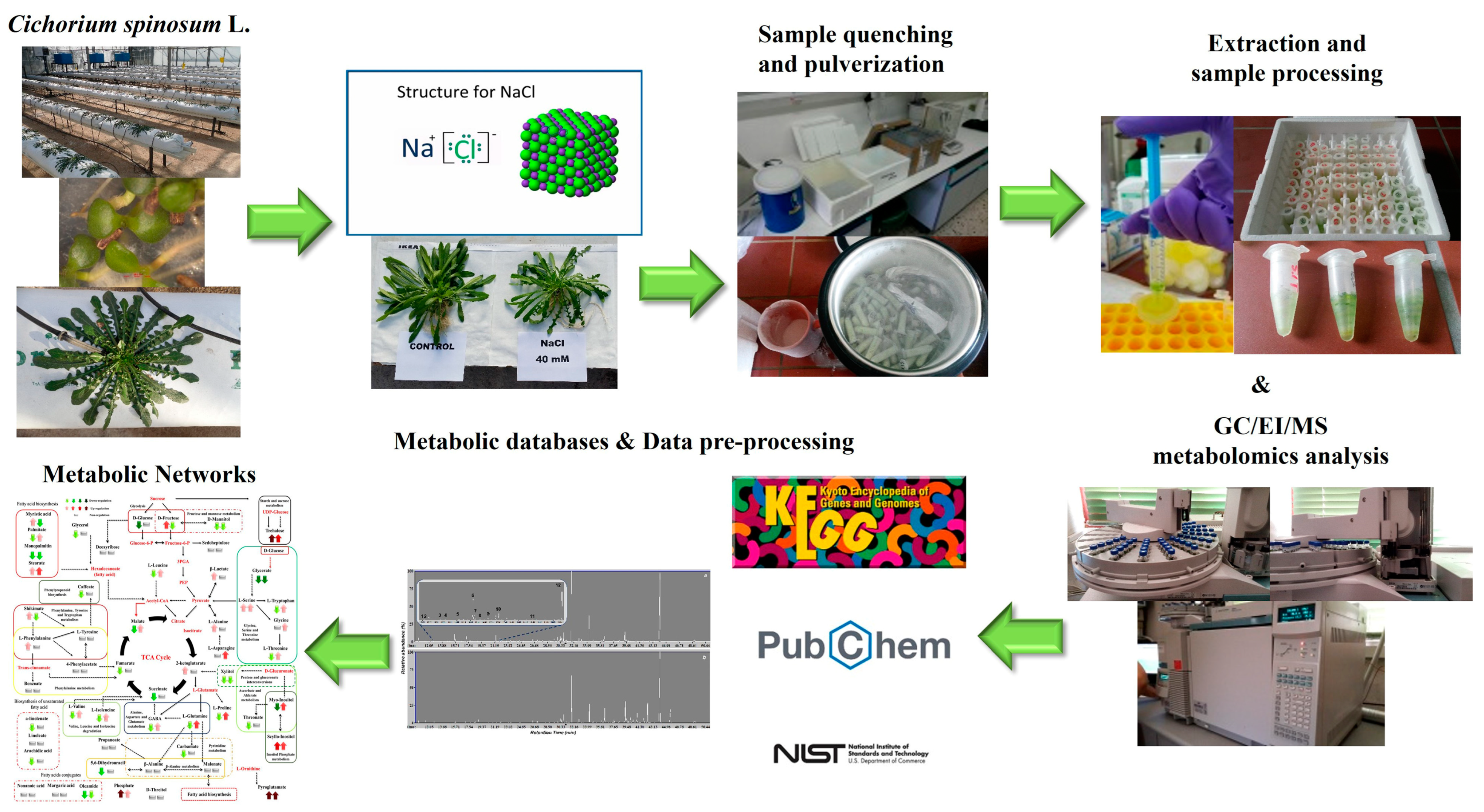 Biomolecules 13 00607 g001 Biomolecules 13 00607 g001
