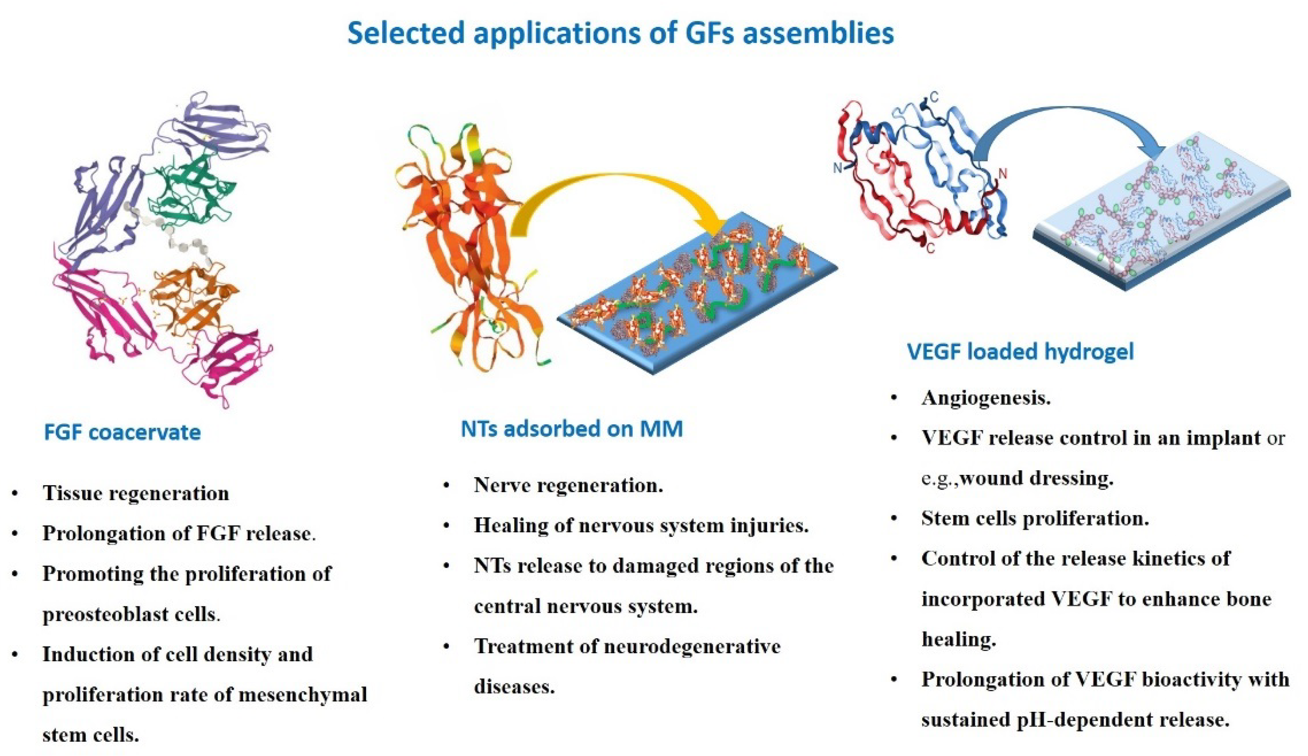 Biomolecules 13 00609 g005