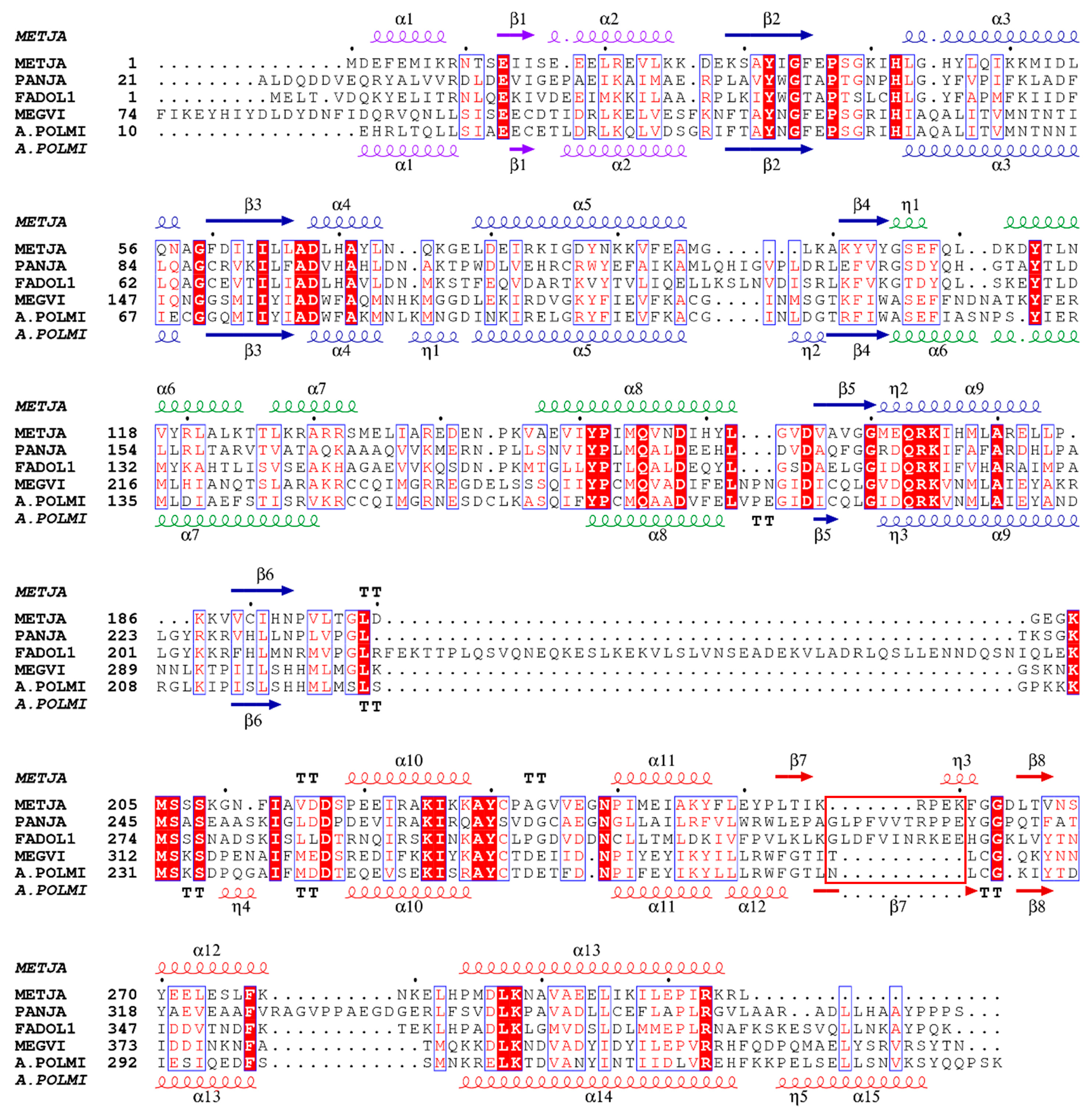Biomolecules 13 00610 g001 Biomolecules 13 00610 g001