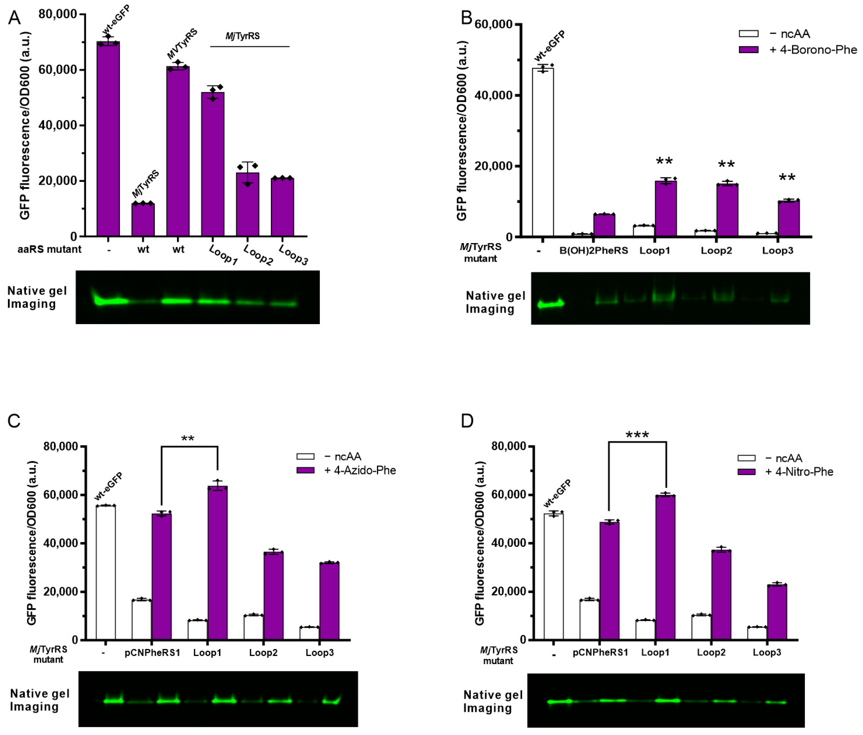Biomolecules 13 00610 g005 Biomolecules 13 00610 g005