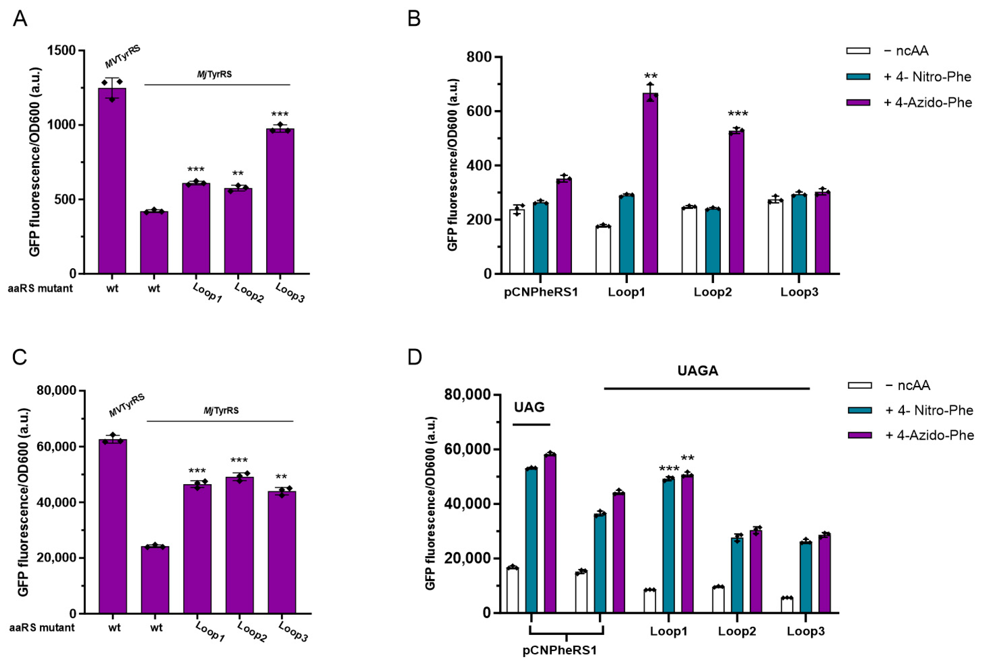 Biomolecules 13 00610 g006 Biomolecules 13 00610 g006