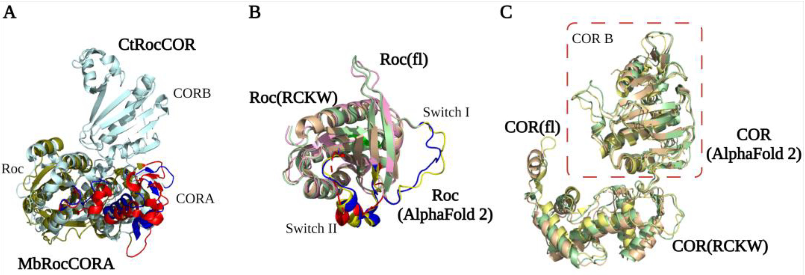 Biomolecules 13 00612 g003 Biomolecules 13 00612 g003