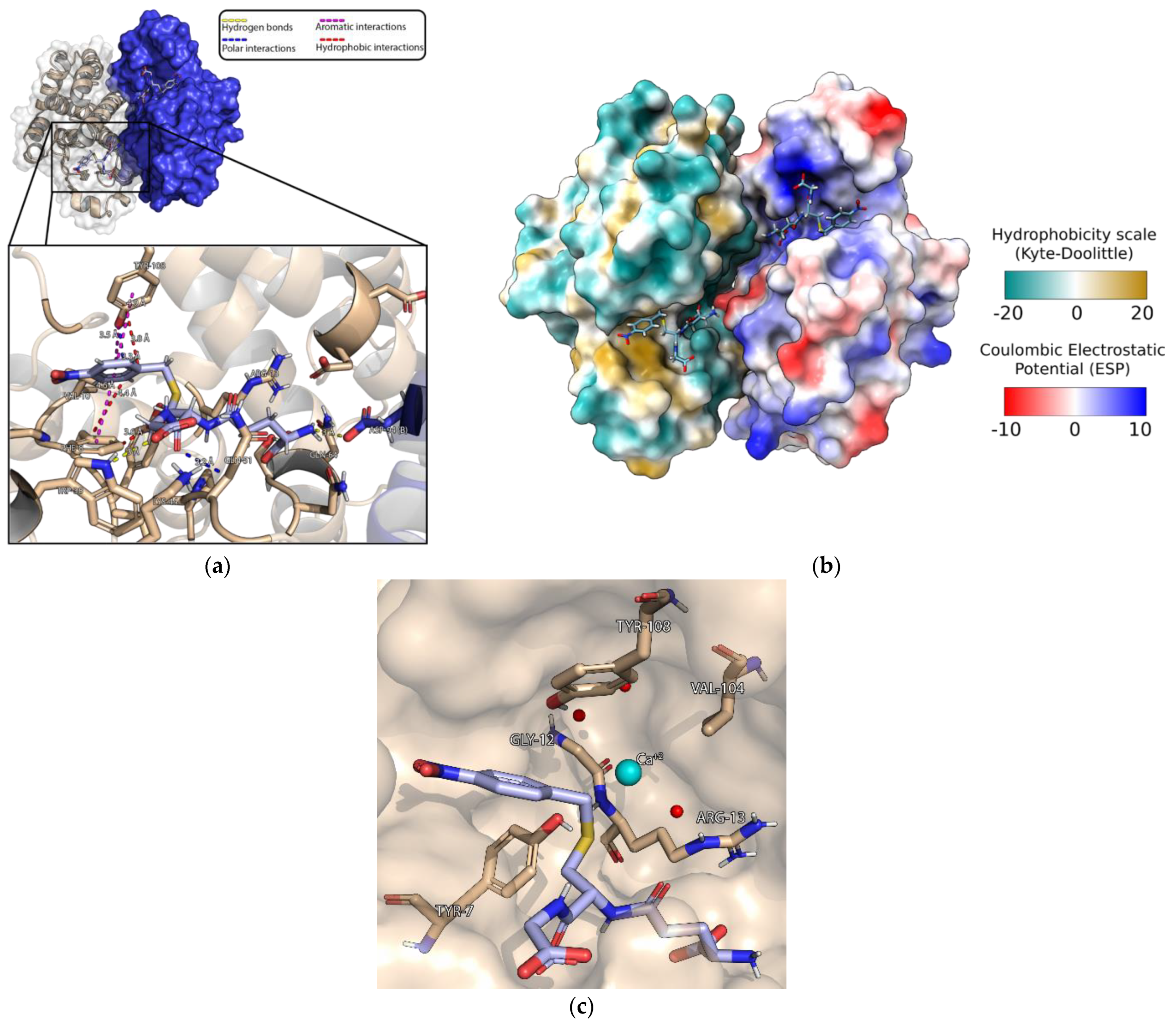 Biomolecules 13 00613 g006 Biomolecules 13 00613 g006