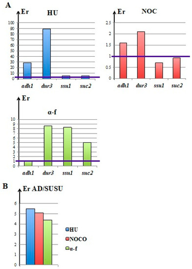 Timing of Chromosome DNA Integration ... Biology Diagrams