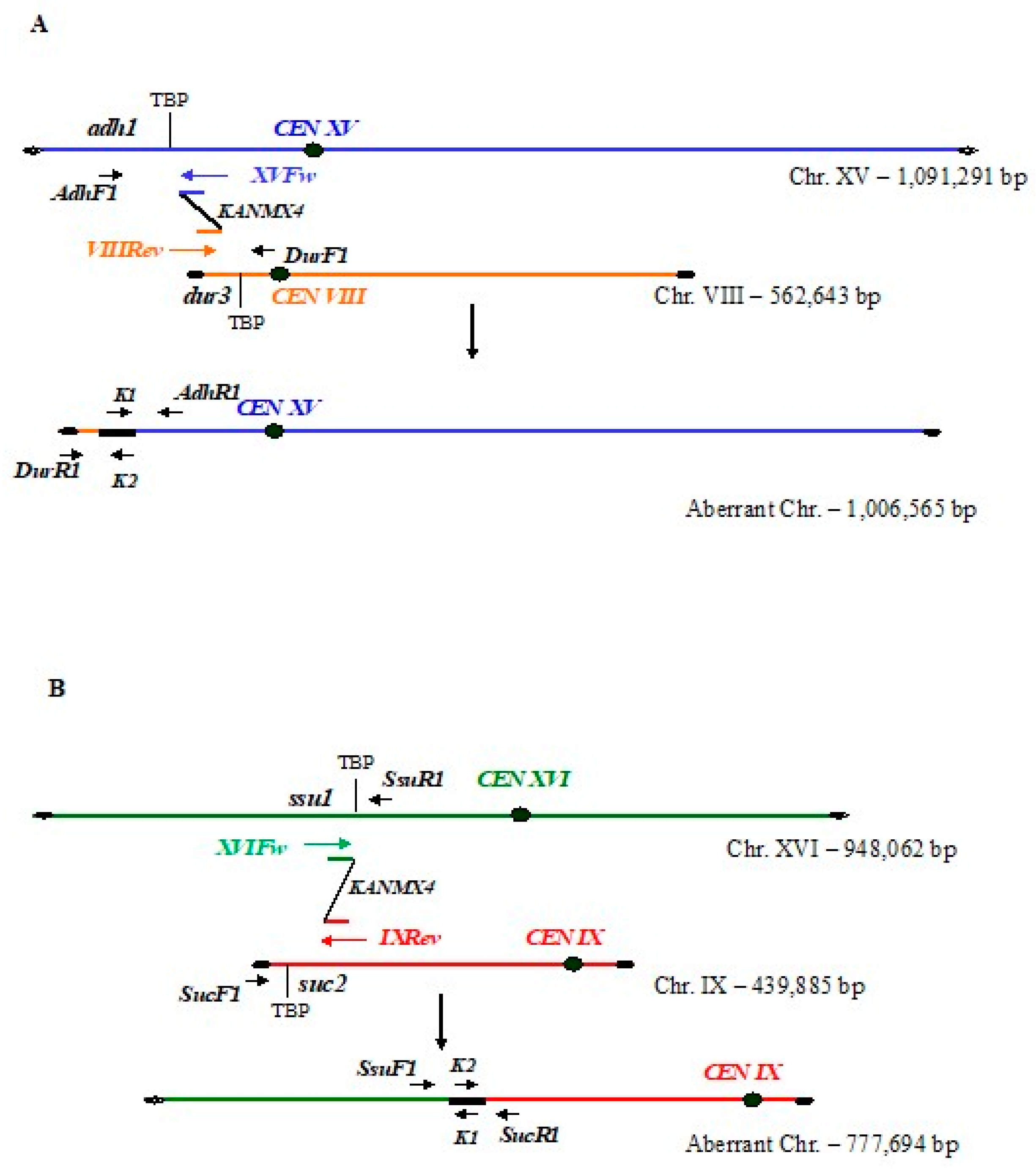 Biomolecules 13 00614 g002 Biomolecules 13 00614 g002
