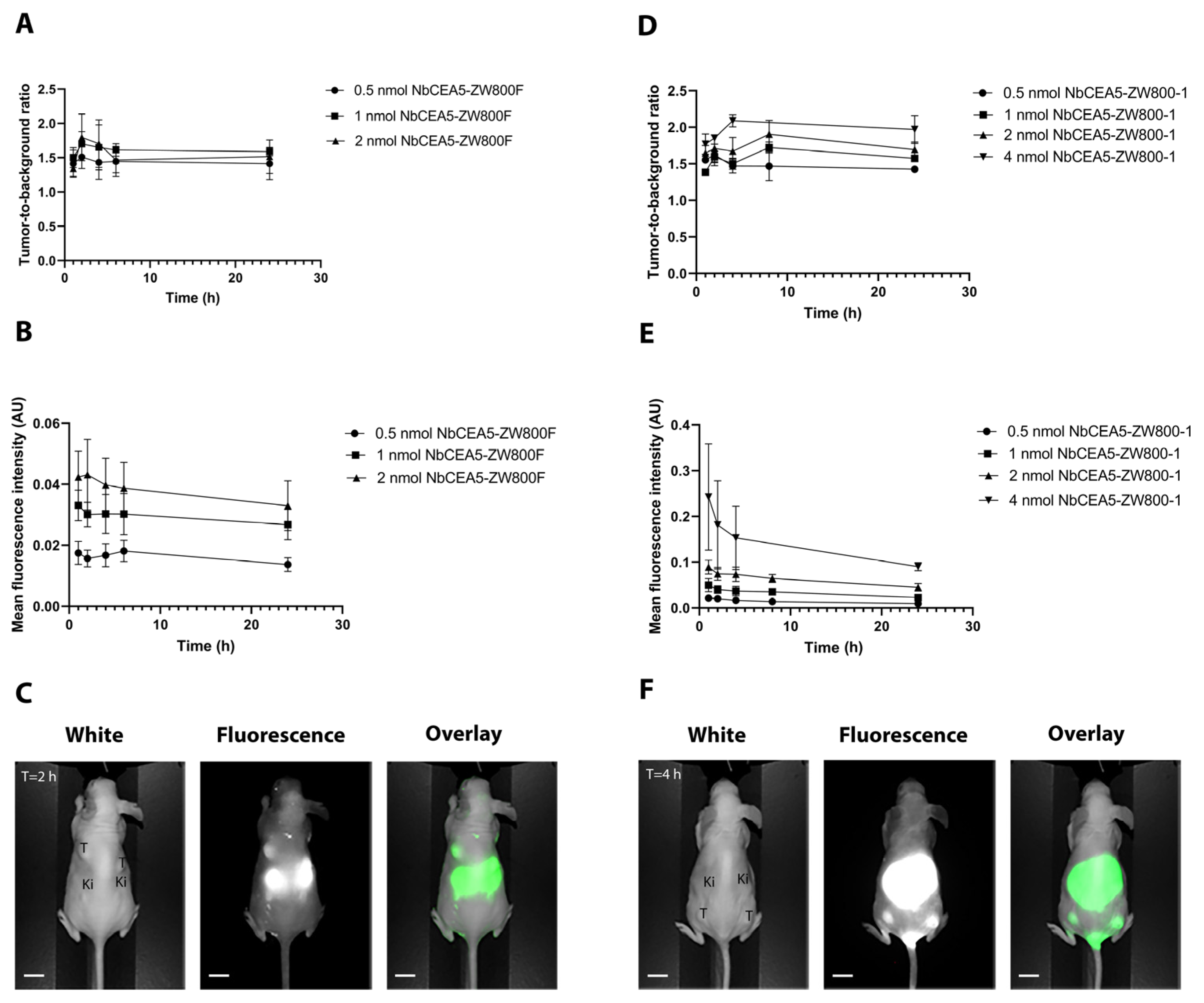 Biomolecules 13 00618 g001