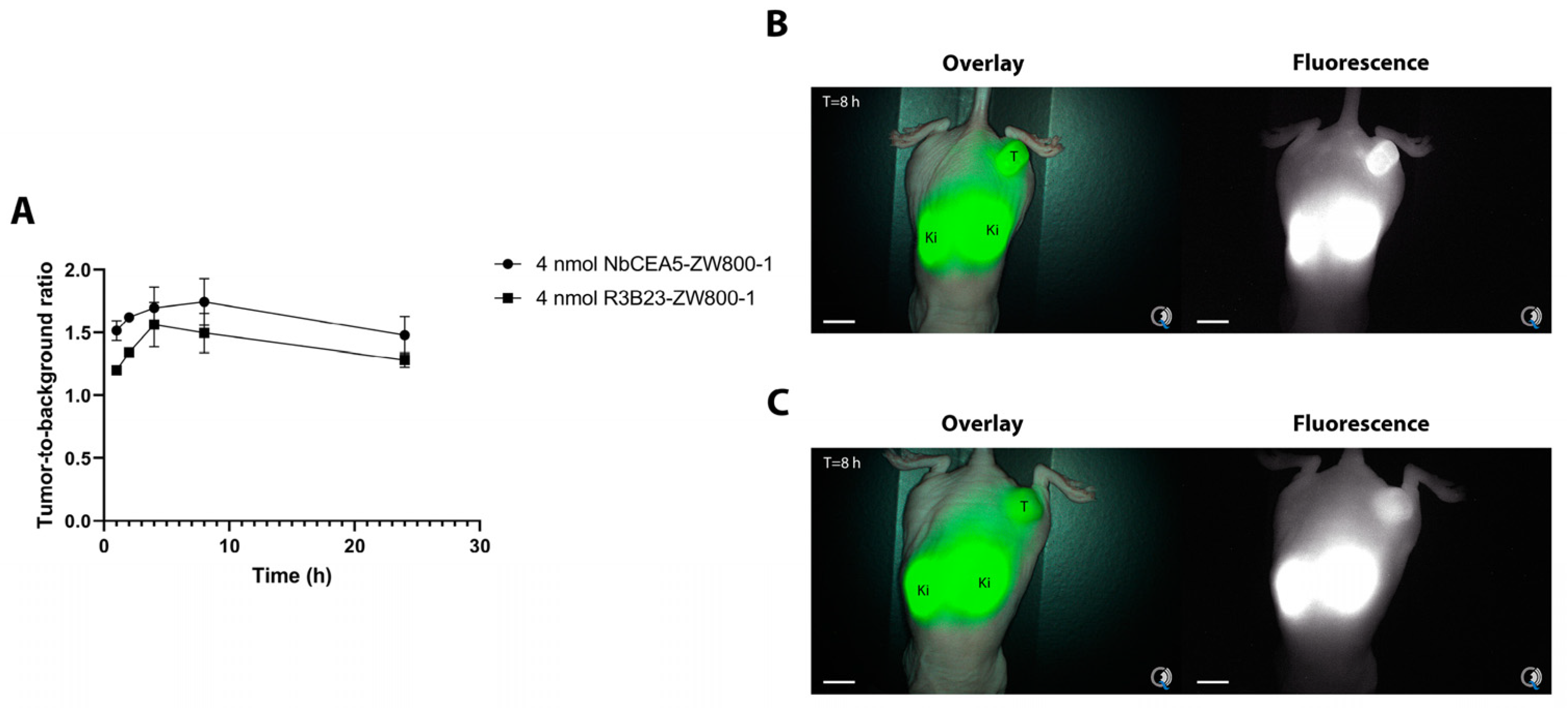 Biomolecules 13 00618 g002