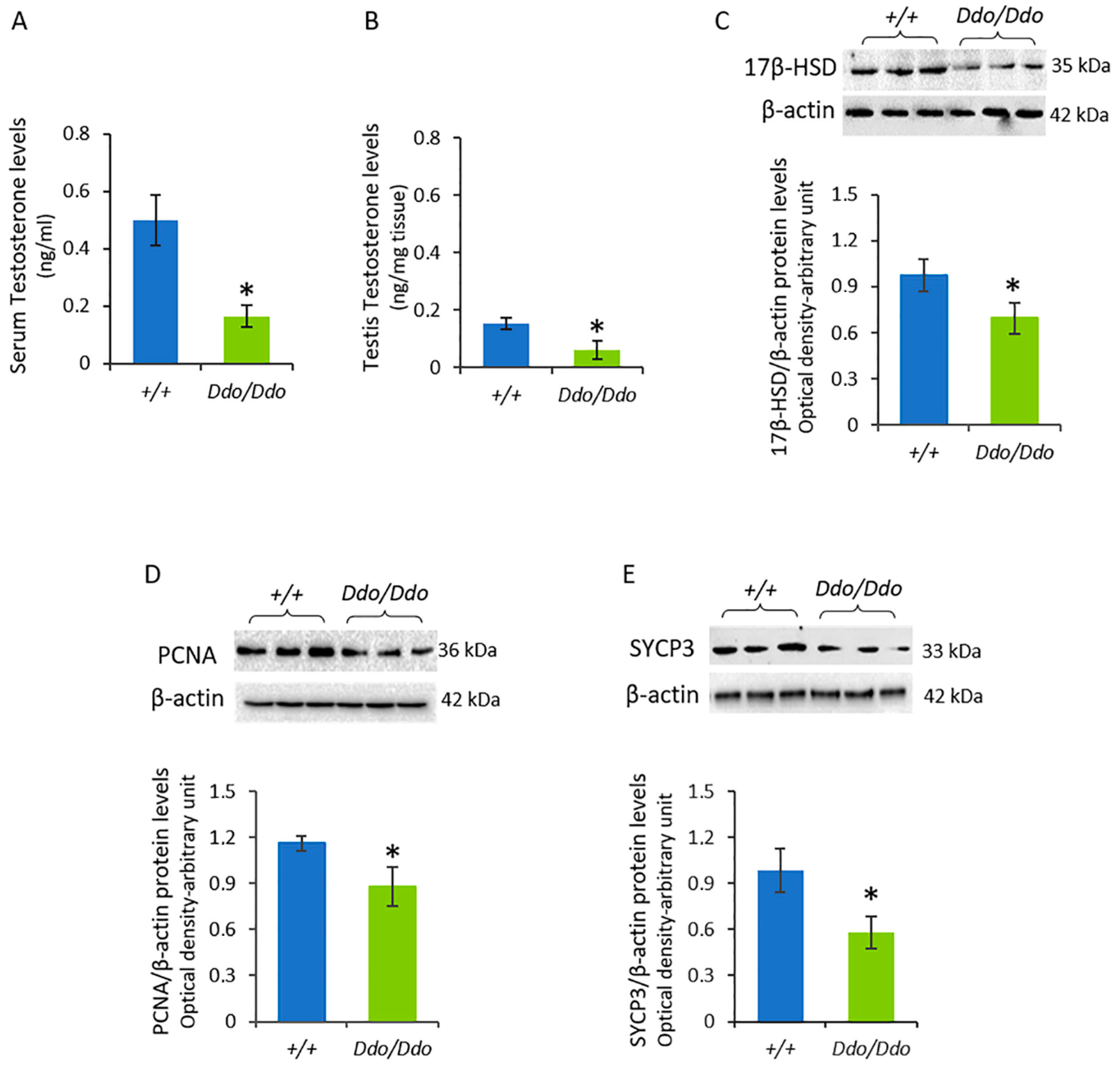 Biomolecules 13 00621 g003 Biomolecules 13 00621 g003