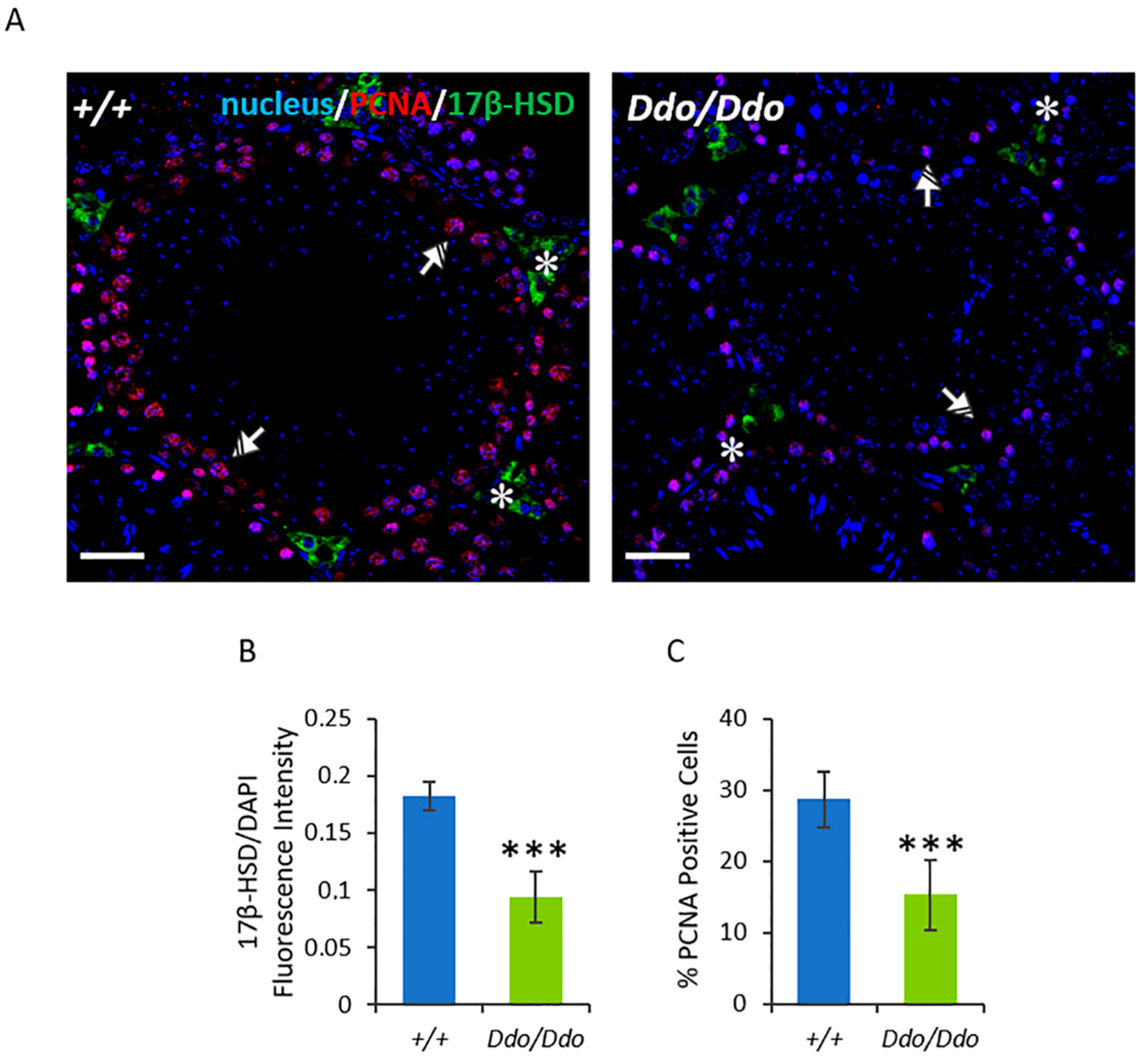 Biomolecules 13 00621 g004 Biomolecules 13 00621 g004