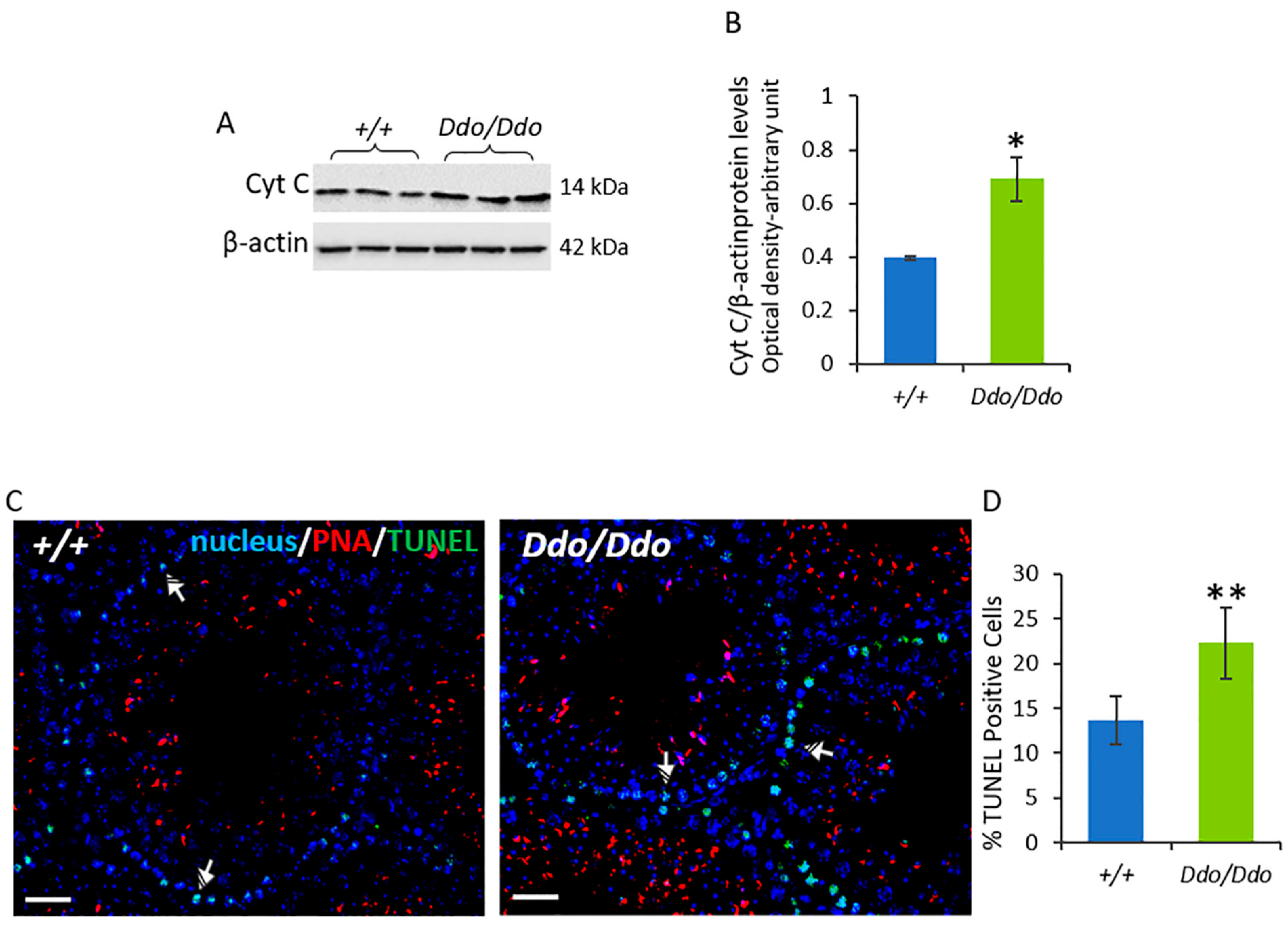 Biomolecules 13 00621 g005 Biomolecules 13 00621 g005