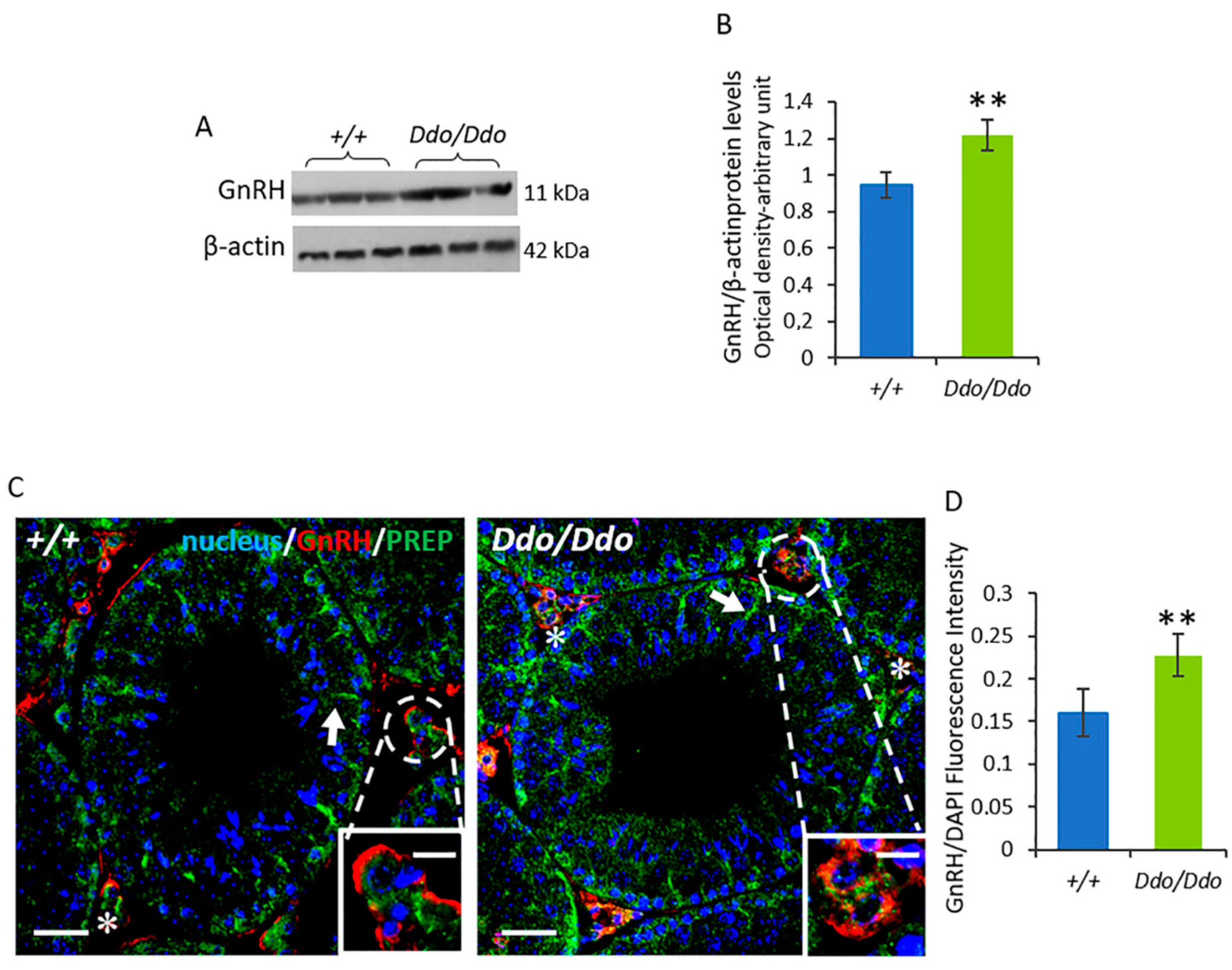 Biomolecules 13 00621 g007 Biomolecules 13 00621 g007