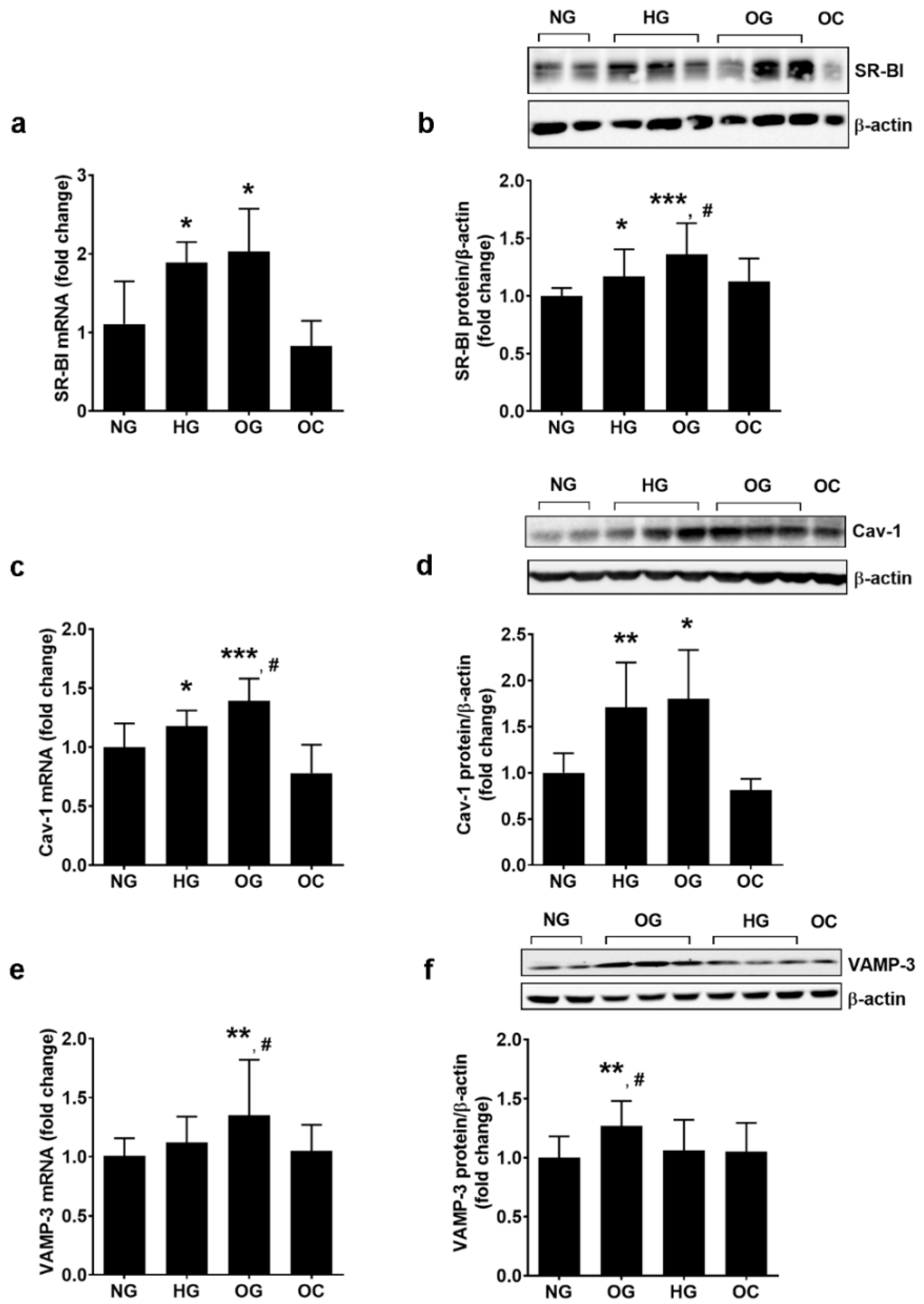 Biomolecules 13 00626 g004