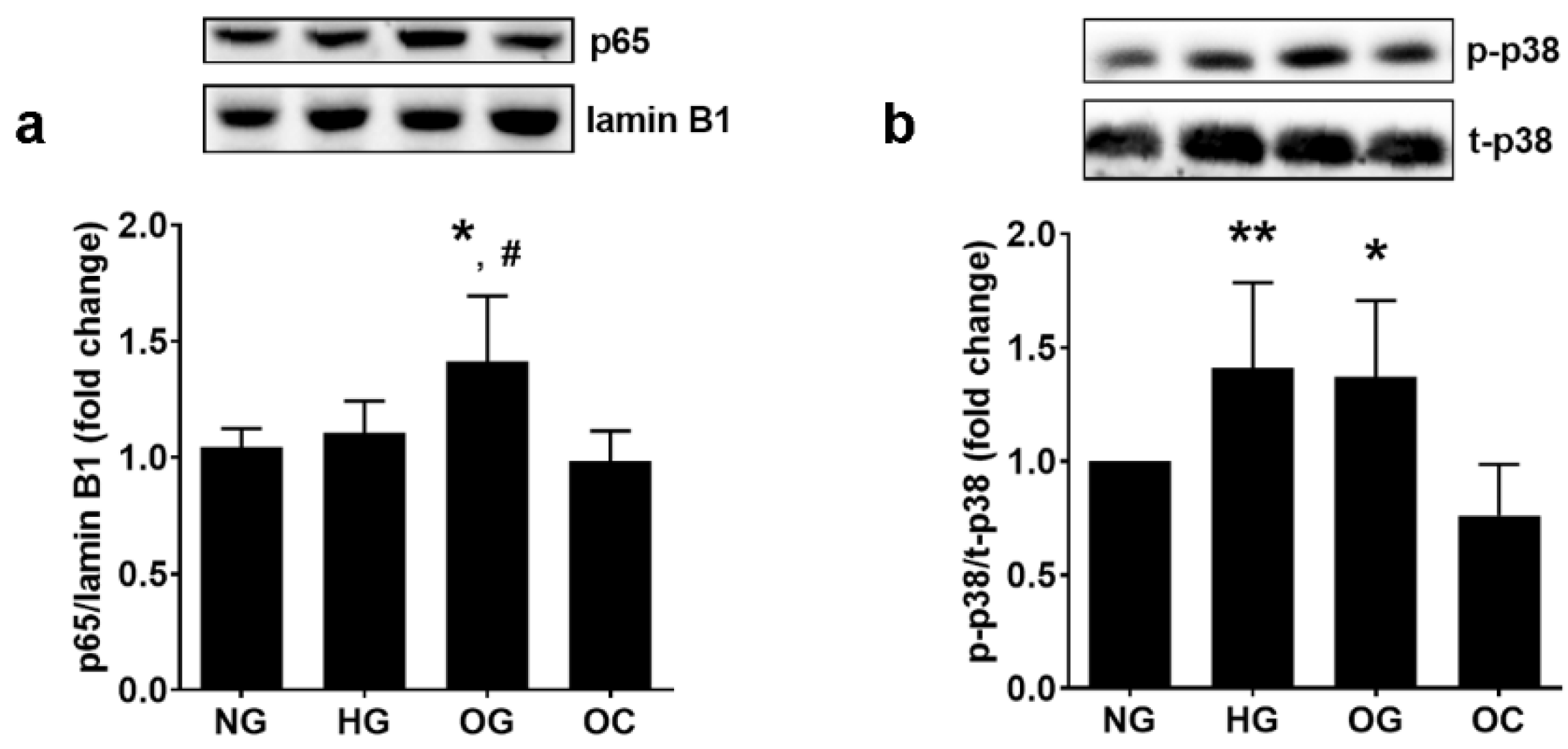 Biomolecules 13 00626 g006
