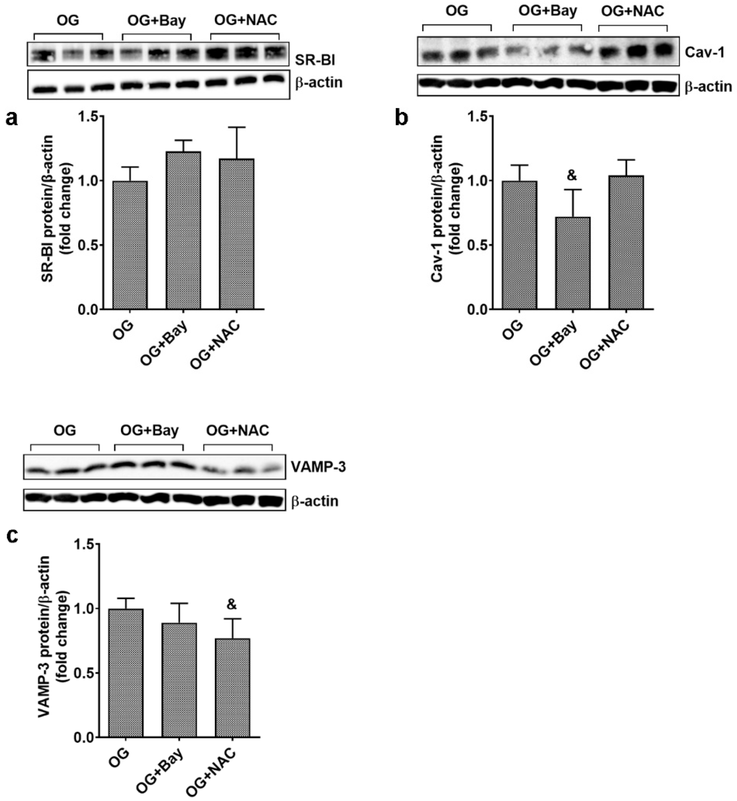 Biomolecules 13 00626 g008