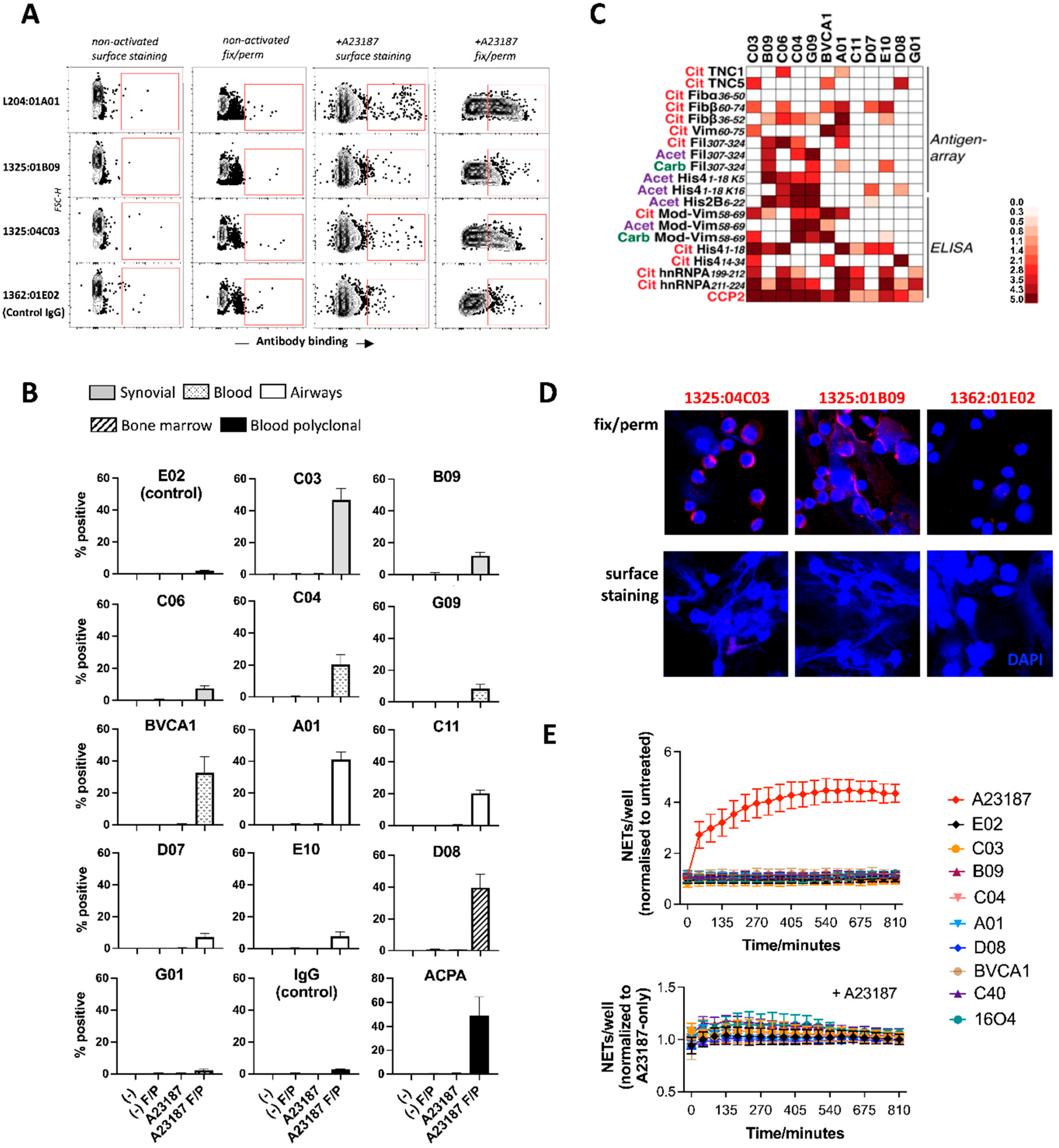 Biomolecules 13 00630 g002 Biomolecules 13 00630 g002