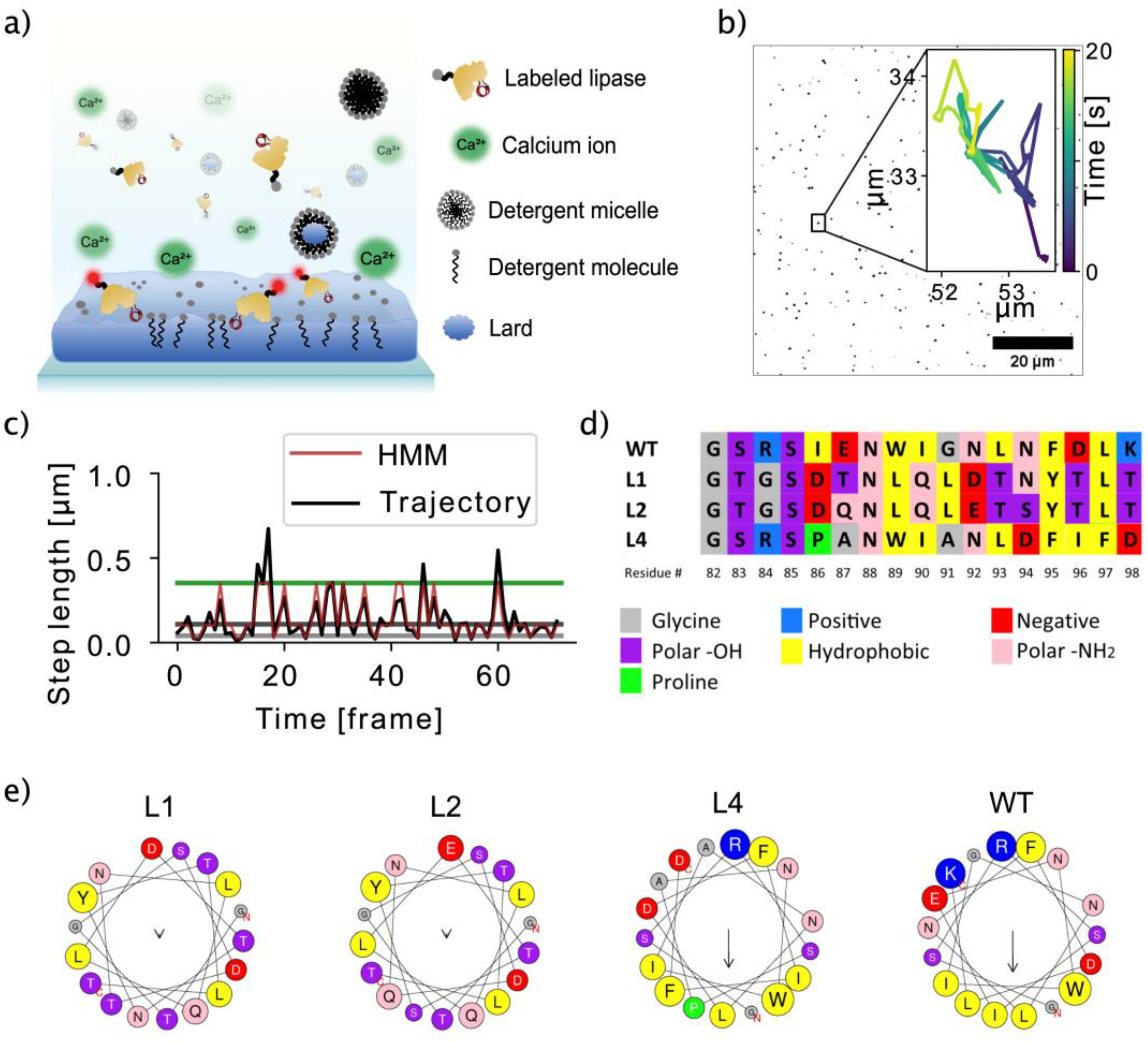 Biomolecules 13 00631 g001 Biomolecules 13 00631 g001
