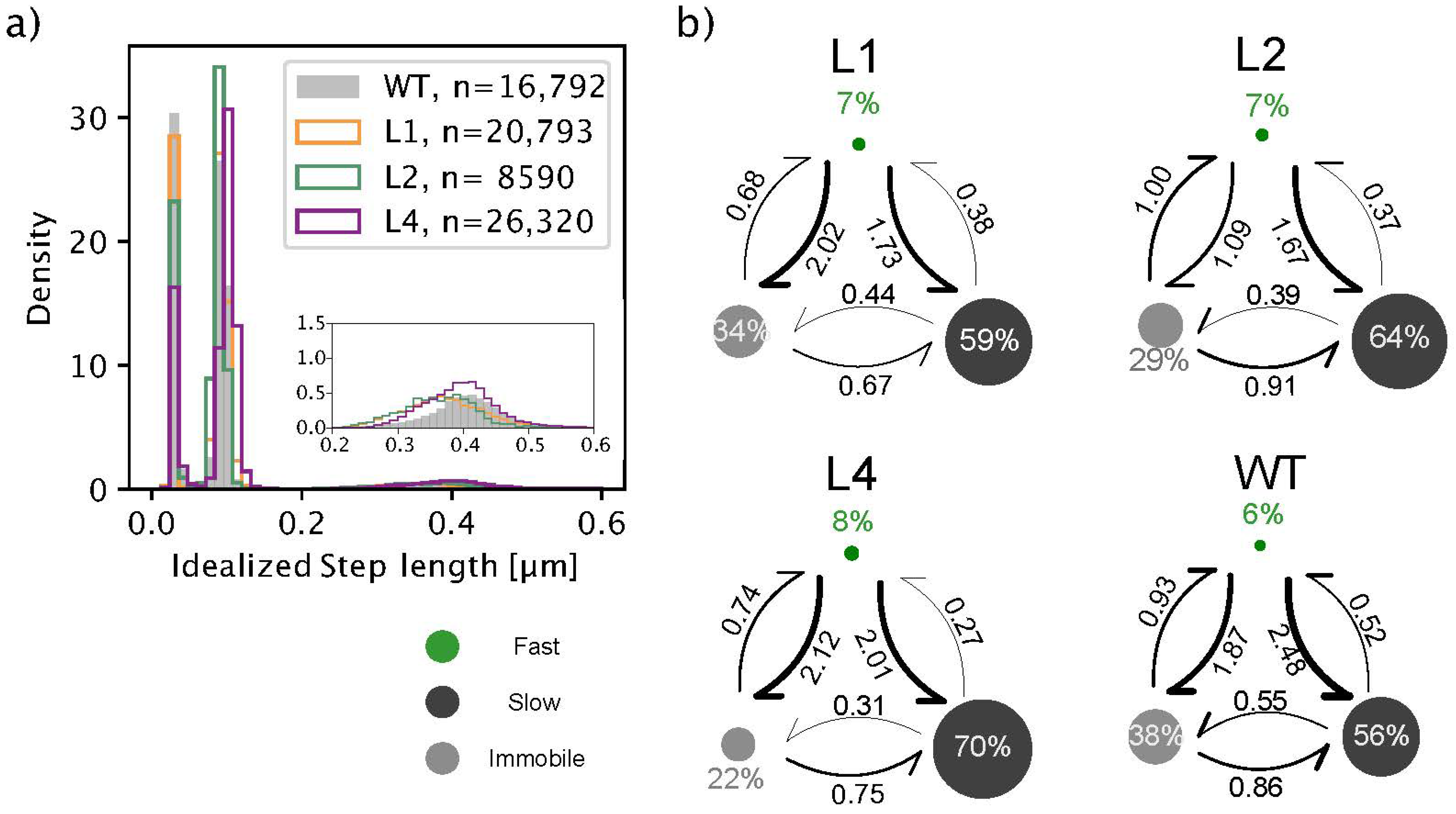 Biomolecules 13 00631 g003 Biomolecules 13 00631 g003