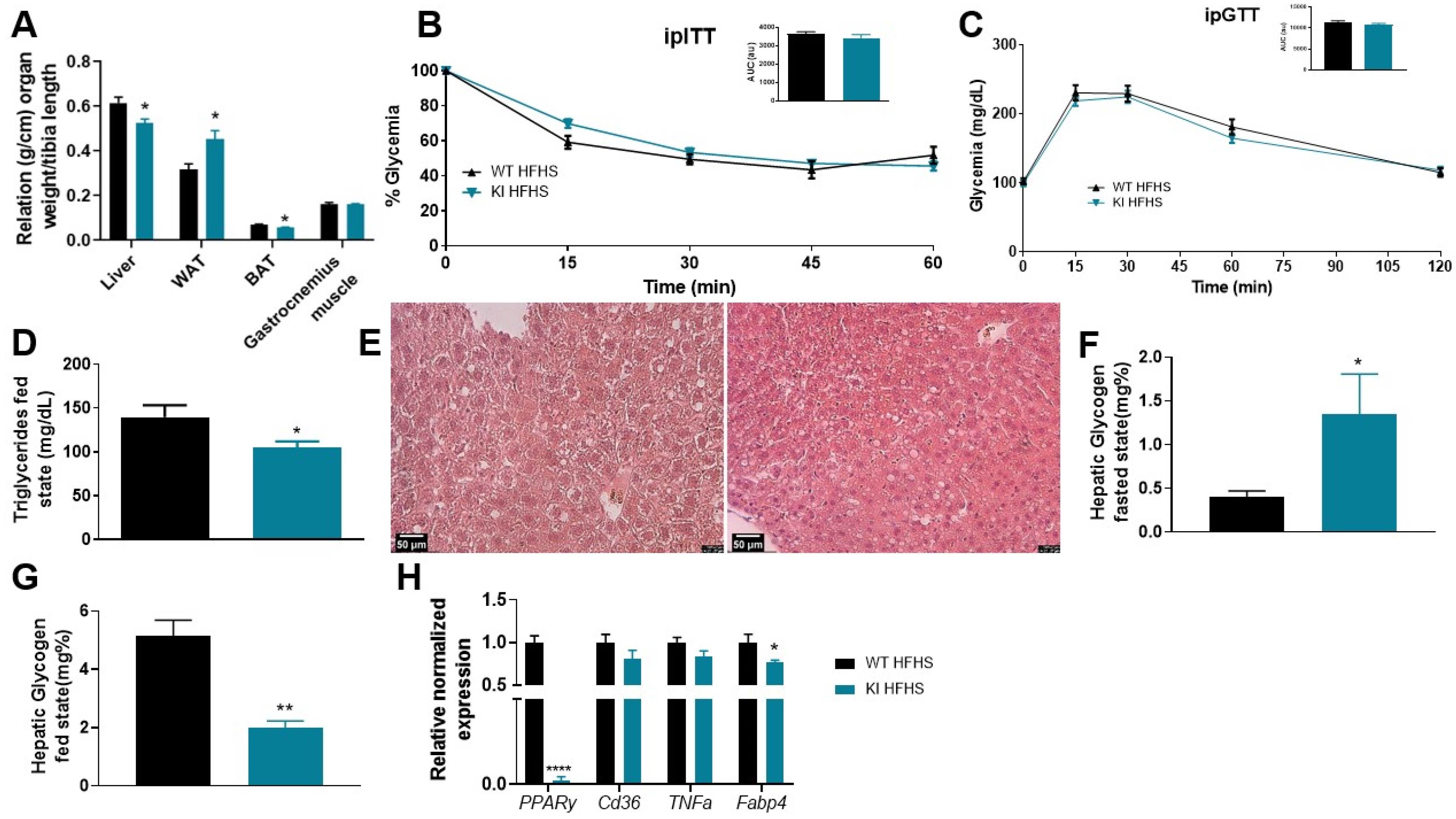 Biomolecules 13 00632 g003 Biomolecules 13 00632 g003