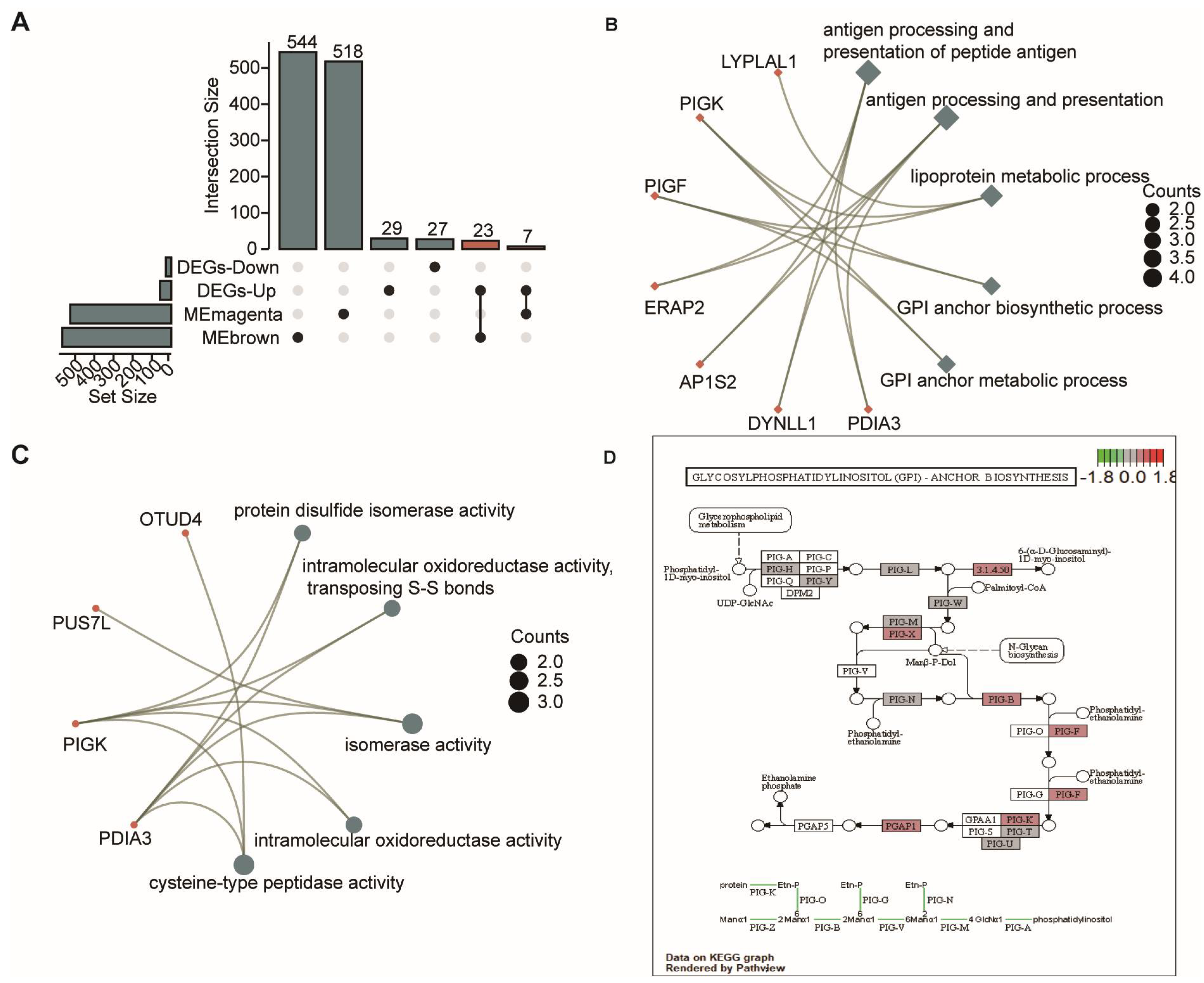 Biomolecules 13 00639 g004 Biomolecules 13 00639 g004