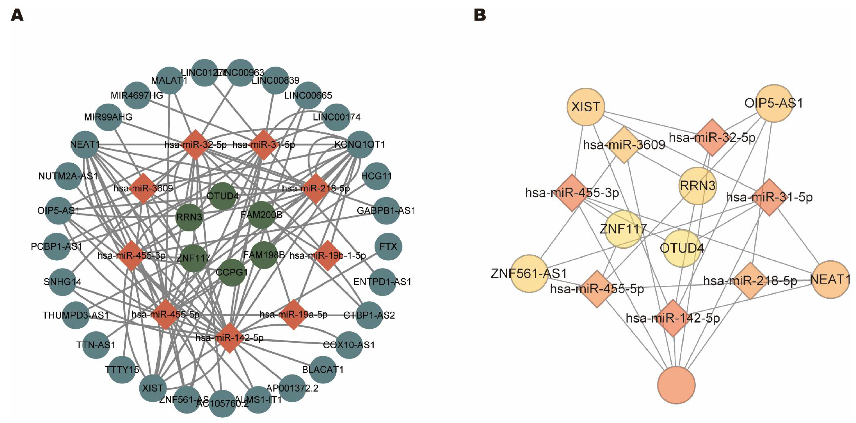 Biomolecules 13 00639 g006 Biomolecules 13 00639 g006