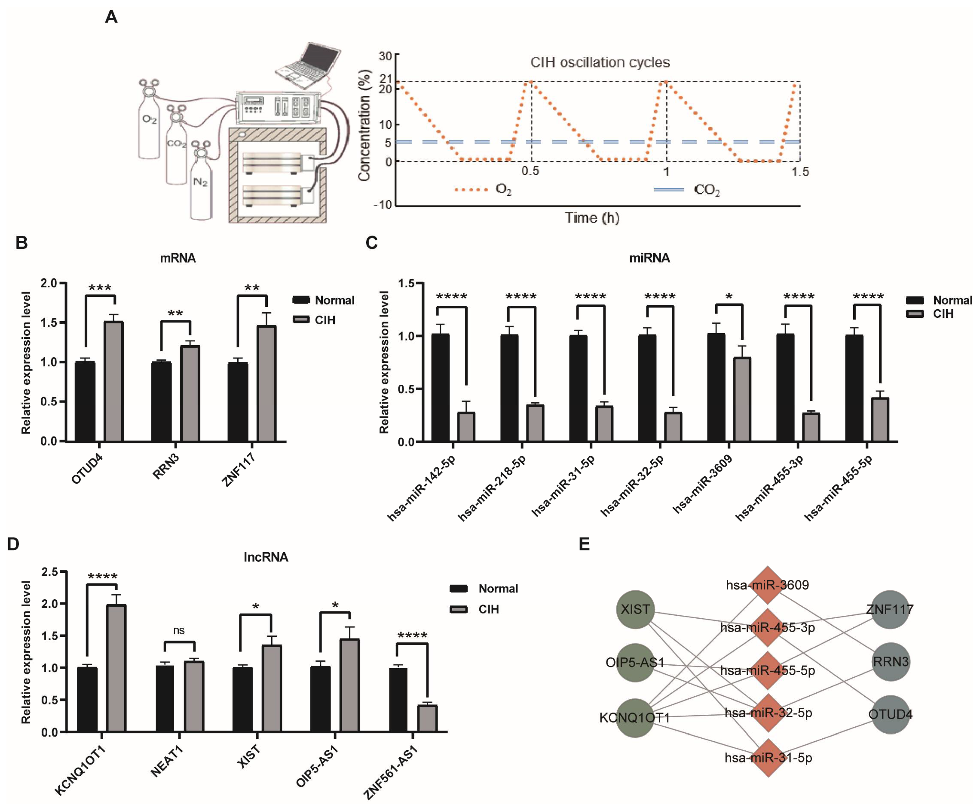 Biomolecules 13 00639 g008 Biomolecules 13 00639 g008