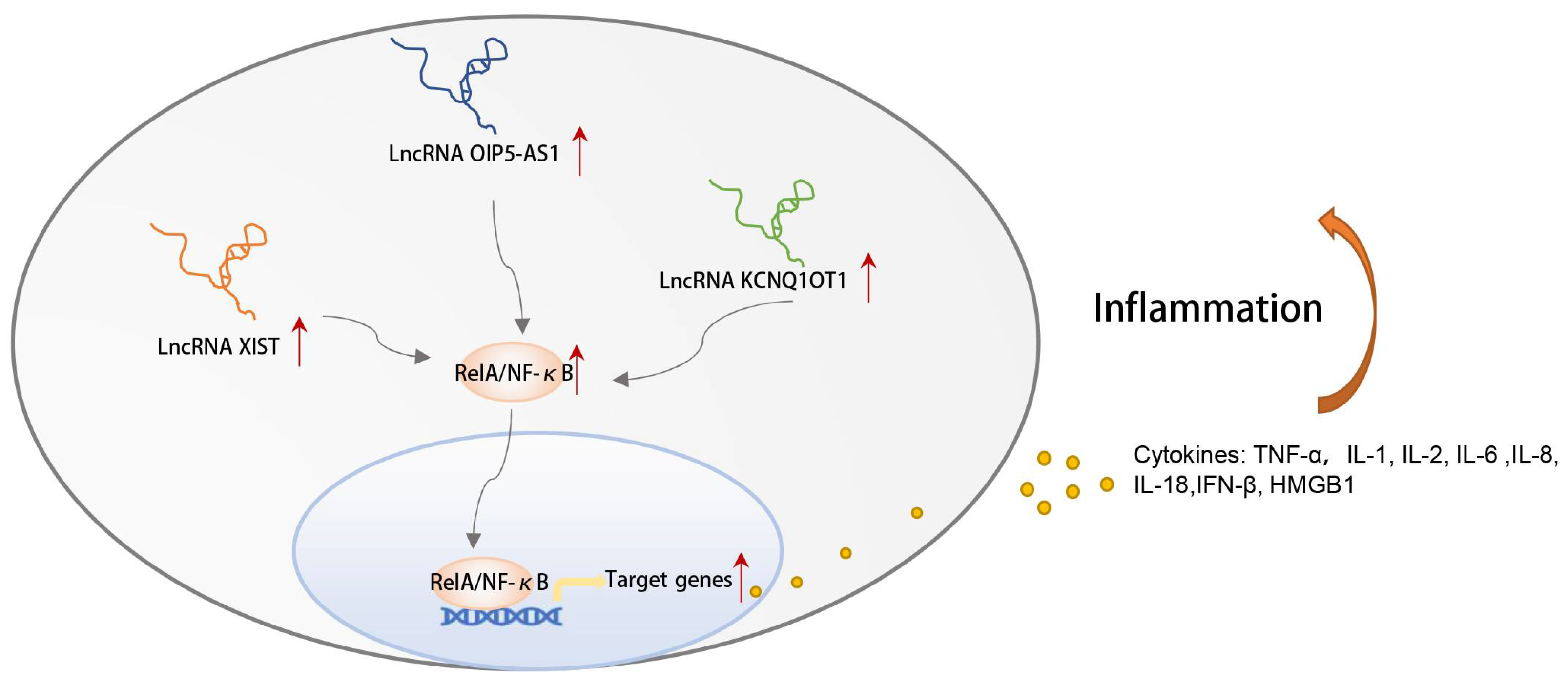 Biomolecules 13 00639 g009 Biomolecules 13 00639 g009