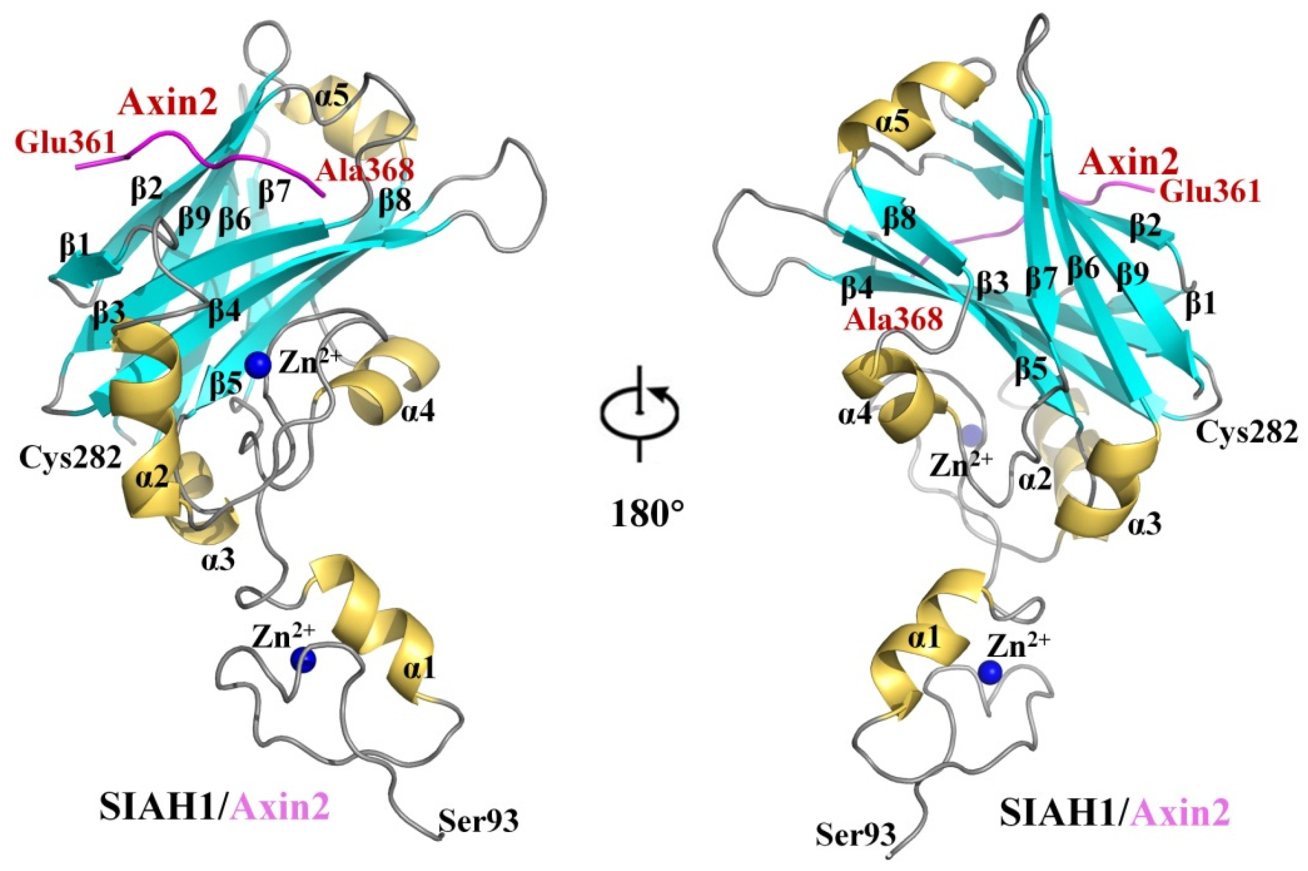 Biomolecules 13 00647 g003 Biomolecules 13 00647 g003