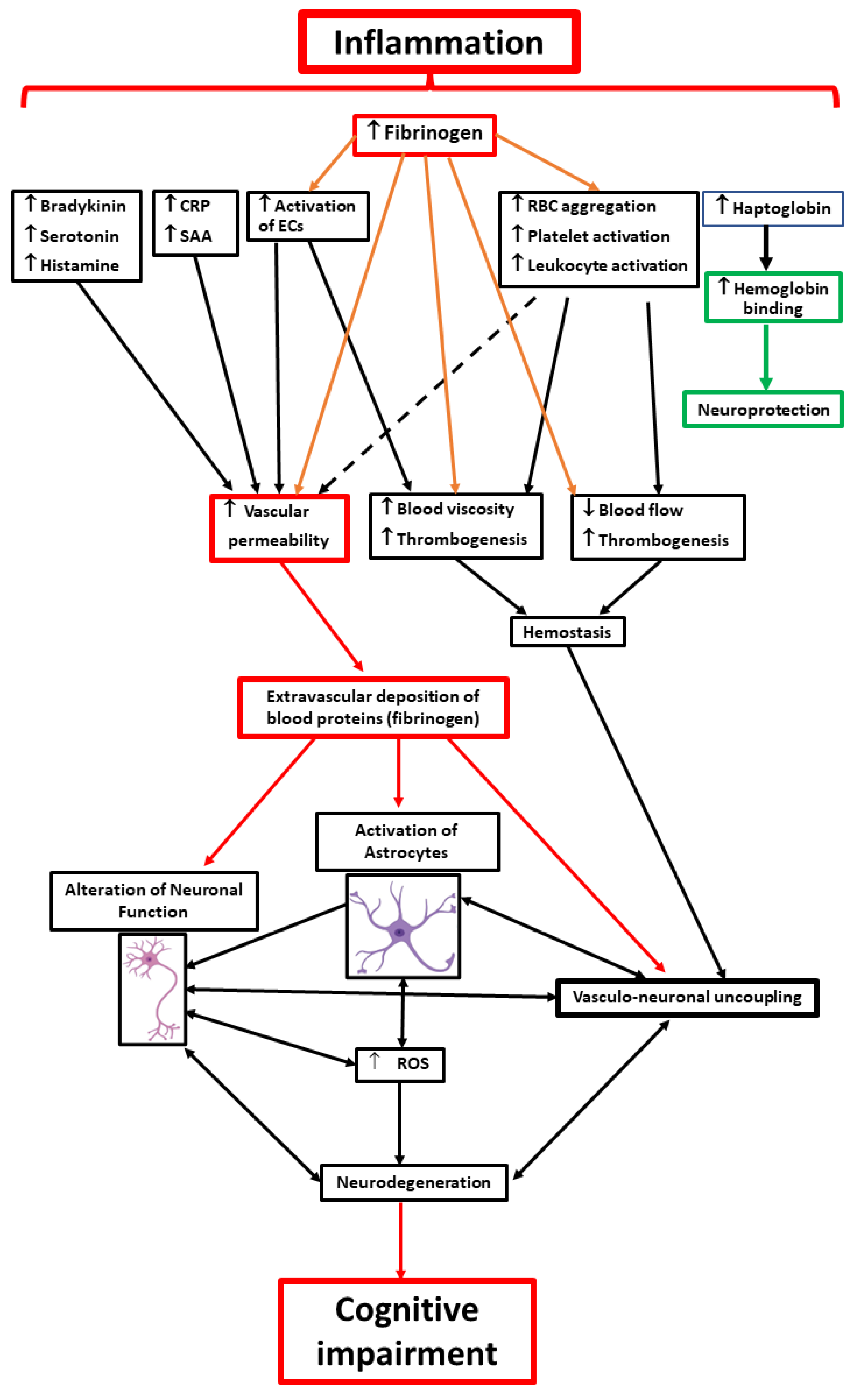 Biomolecules 13 00648 g001
