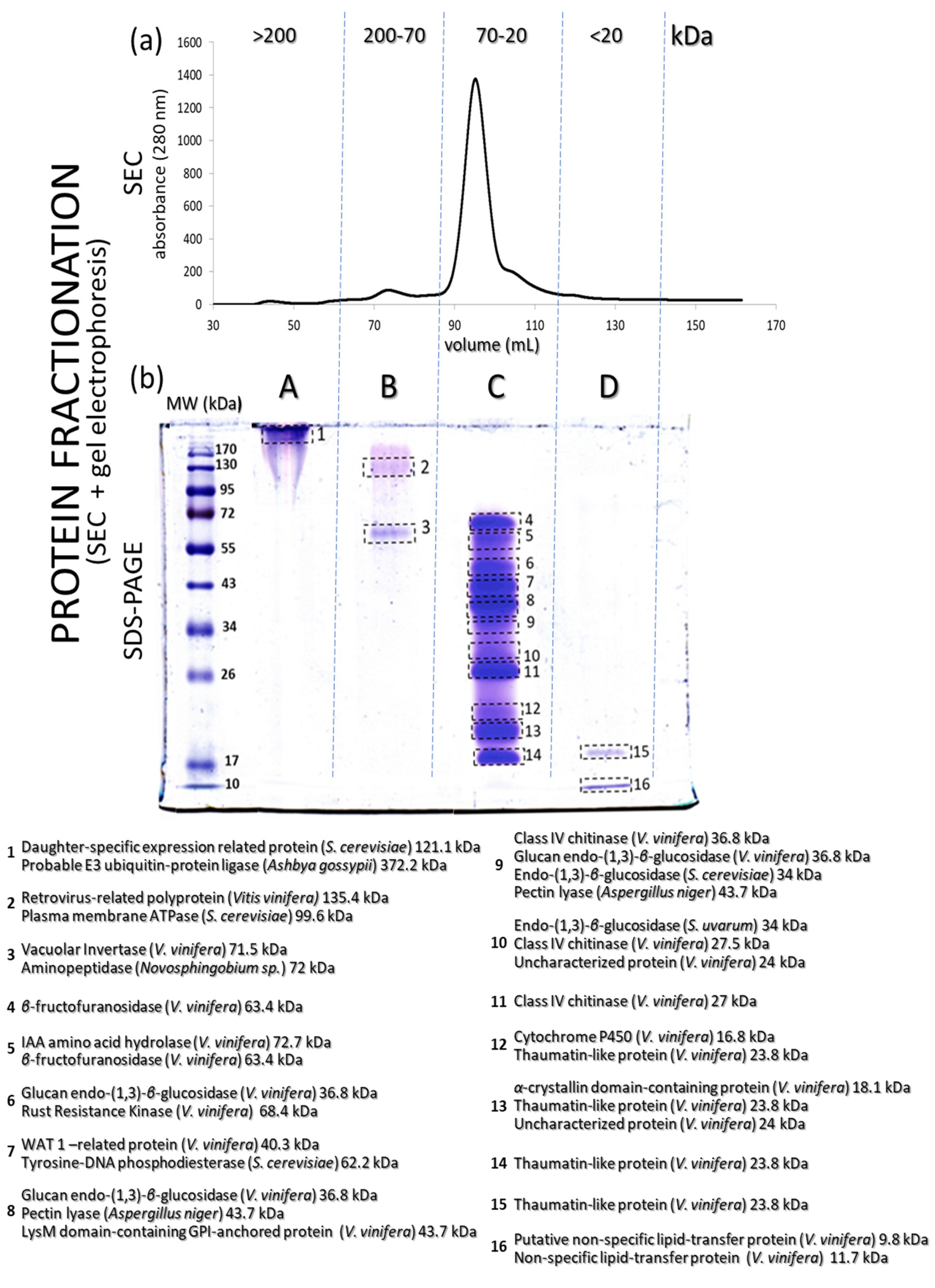 Biomolecules 13 00650 g002 Biomolecules 13 00650 g002