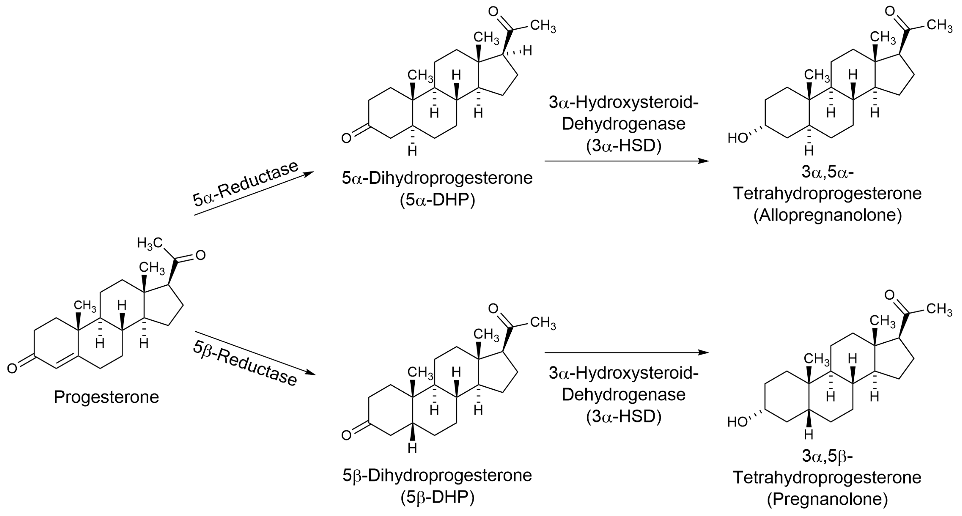 Biomolecules 13 00652 g001 Biomolecules 13 00652 g001
