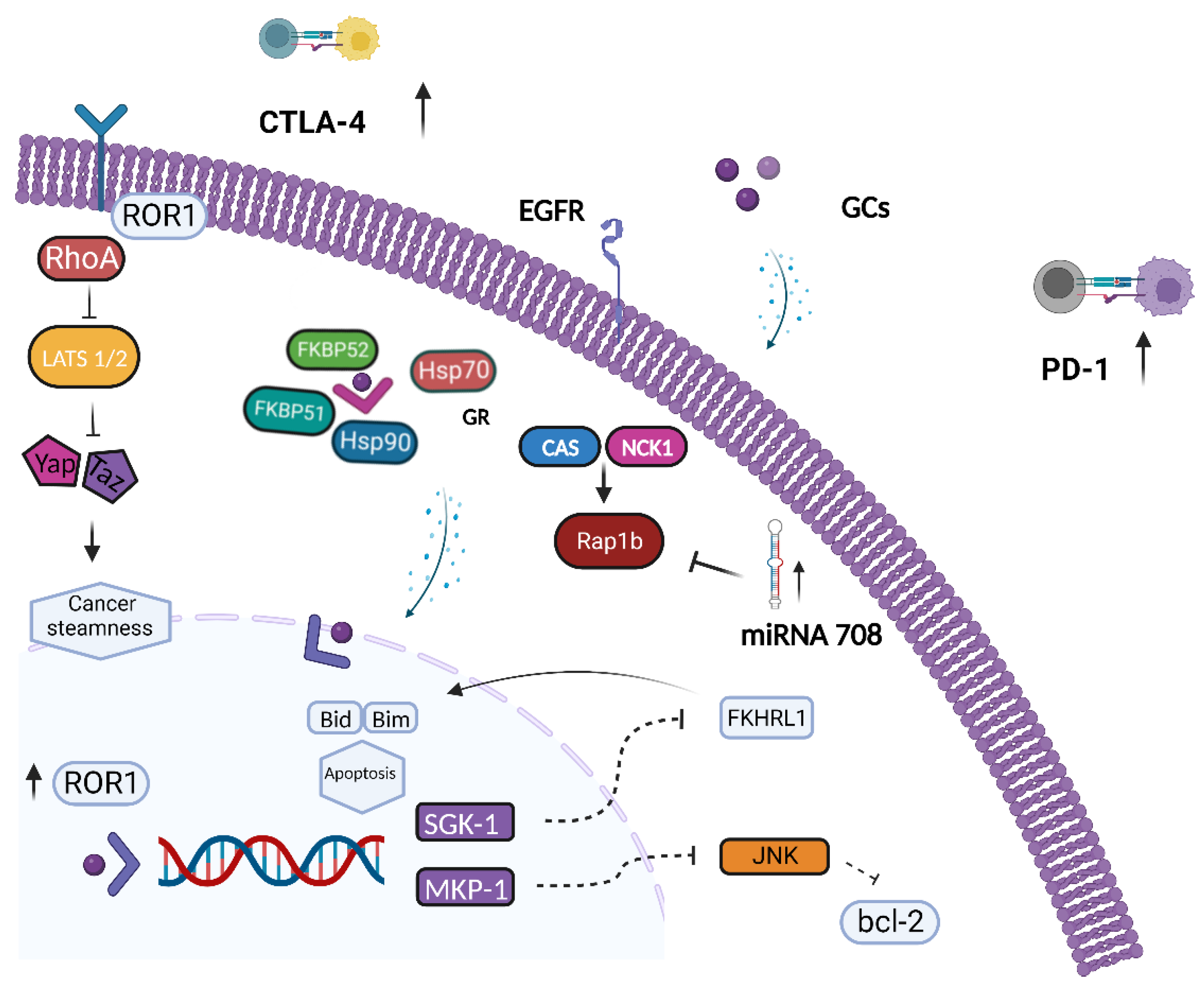Biomolecules 13 00653 g002 Biomolecules 13 00653 g002