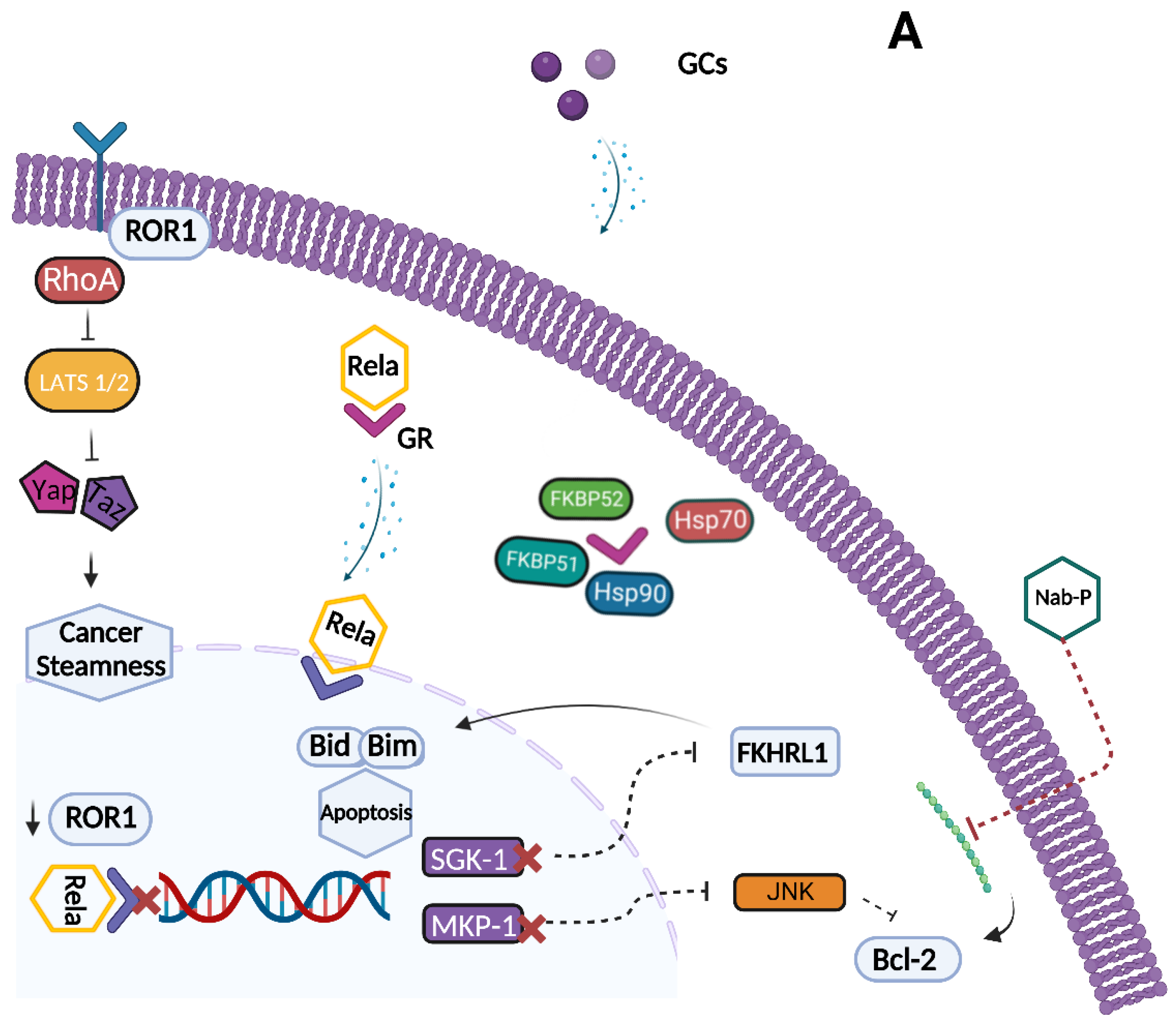 Biomolecules 13 00653 g003a Biomolecules 13 00653 g003a