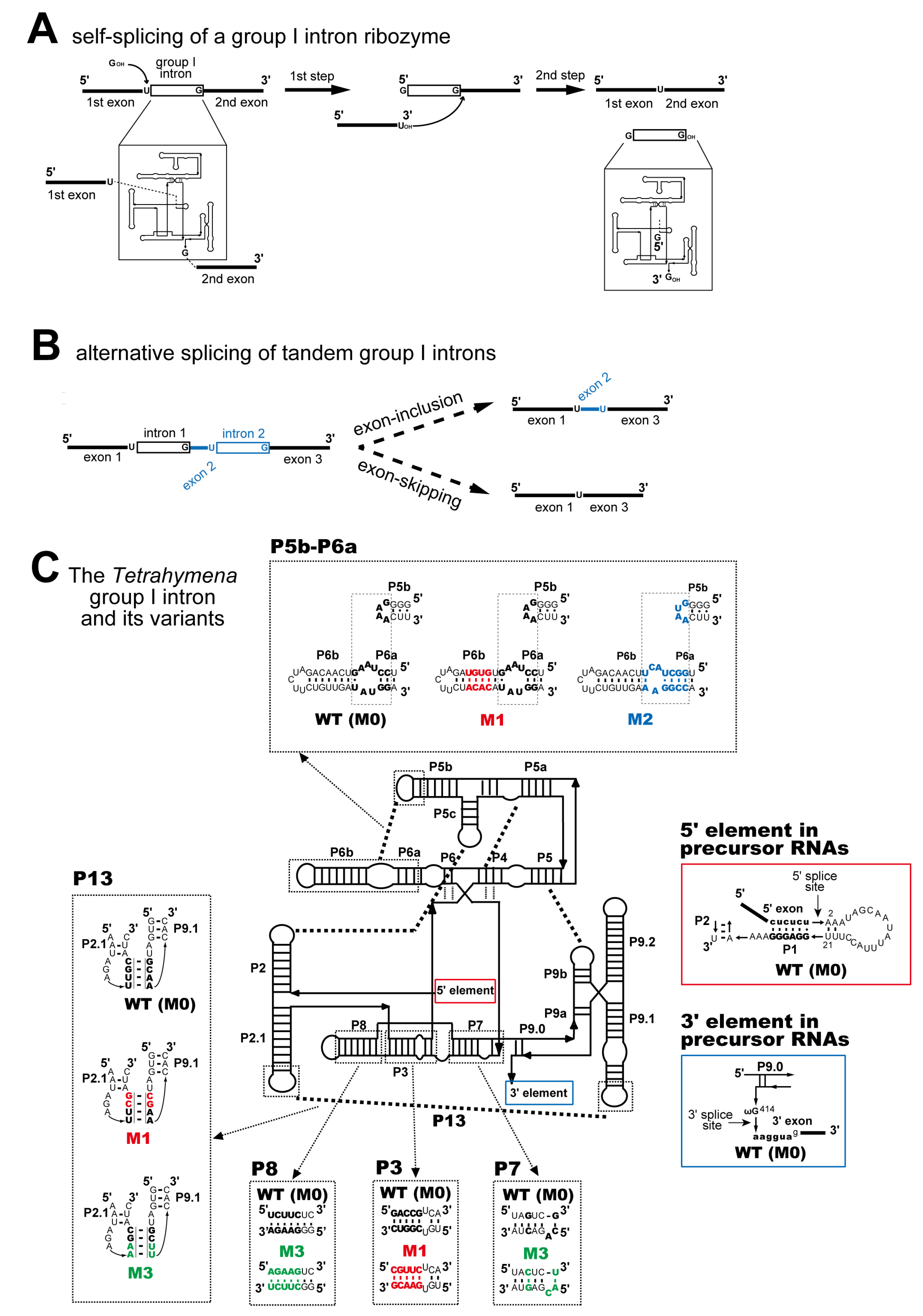 Biomolecules 13 00654 g001 Biomolecules 13 00654 g001