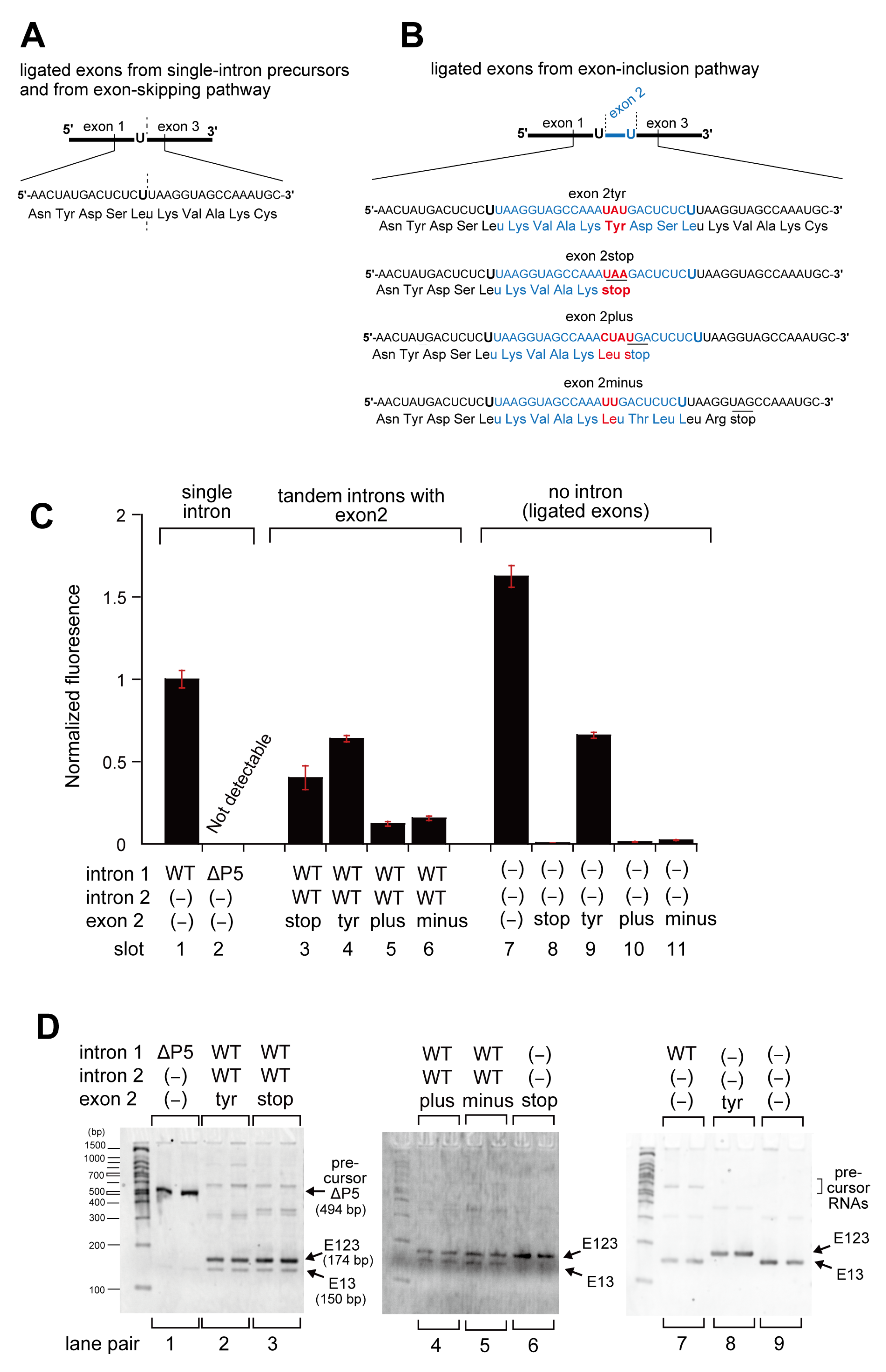 Biomolecules 13 00654 g002 Biomolecules 13 00654 g002