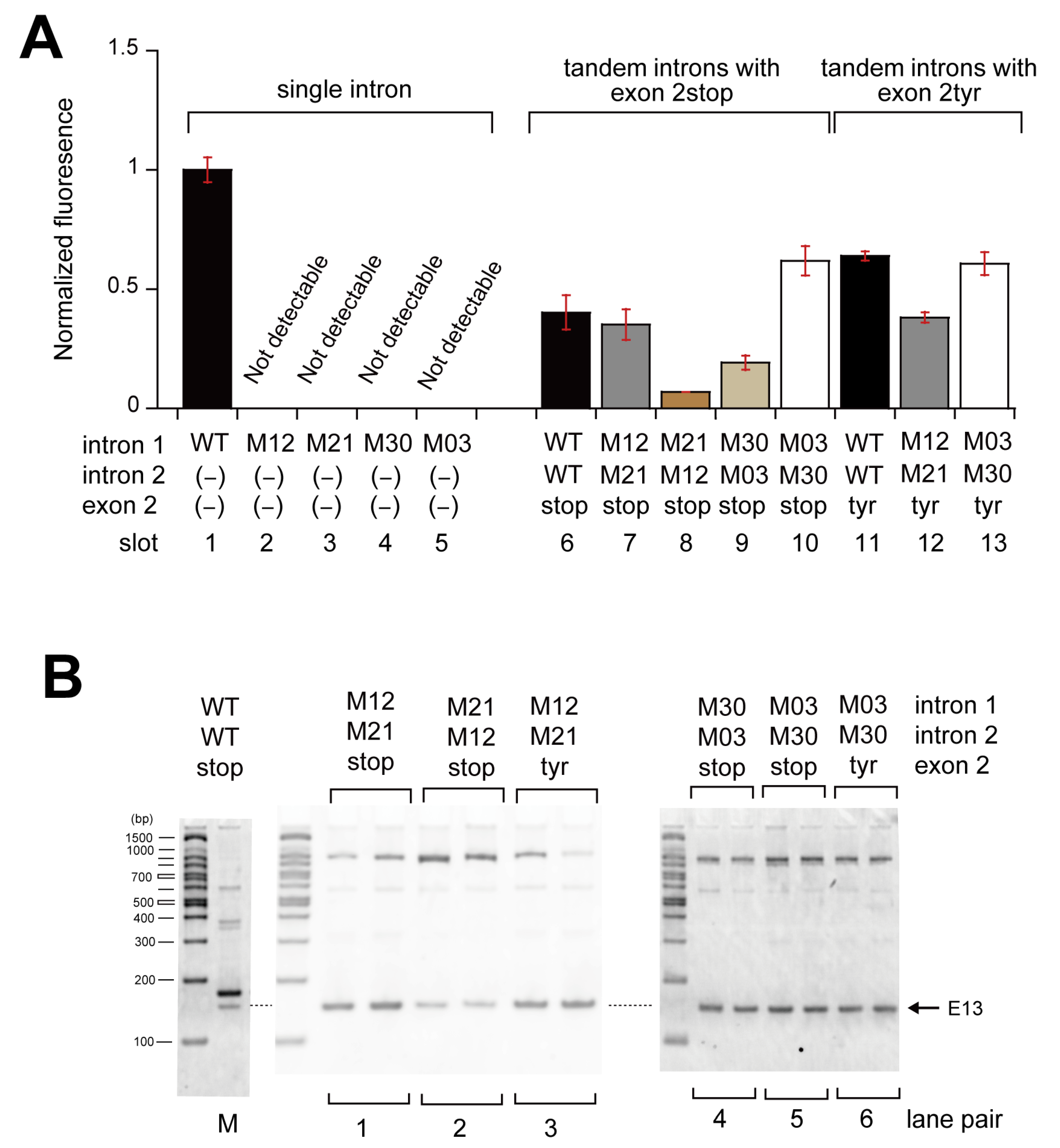 Biomolecules 13 00654 g004 Biomolecules 13 00654 g004